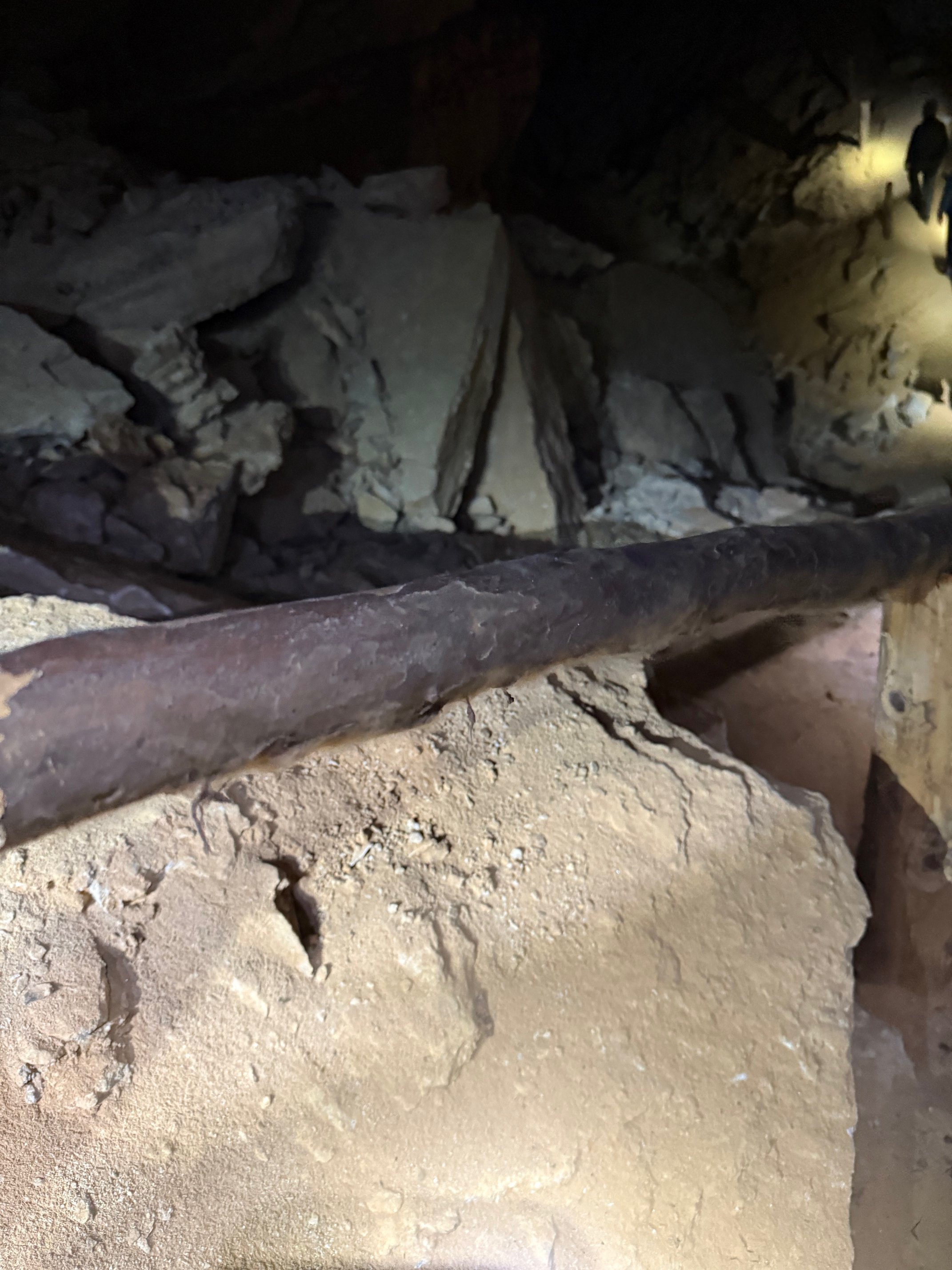 Look closely to see an unidentified fungus. A reason to keep your hands off the hand rail.