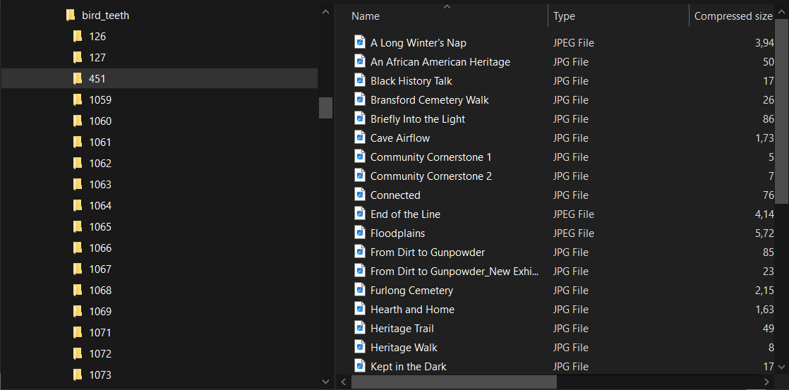 mammoth cave file screenshot.png