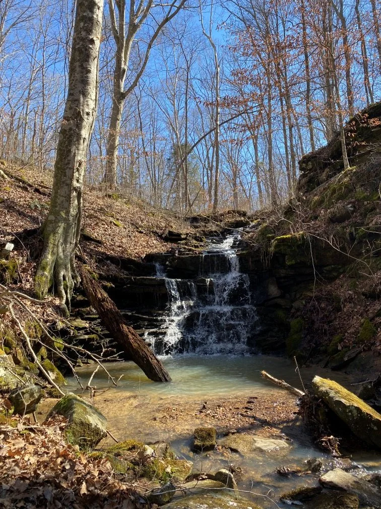 Waterfall in the area.