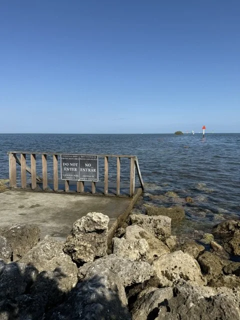 jettywalk.jpeg