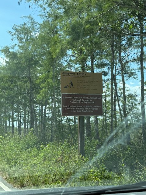 Loop Road, on the way to Gator Hook