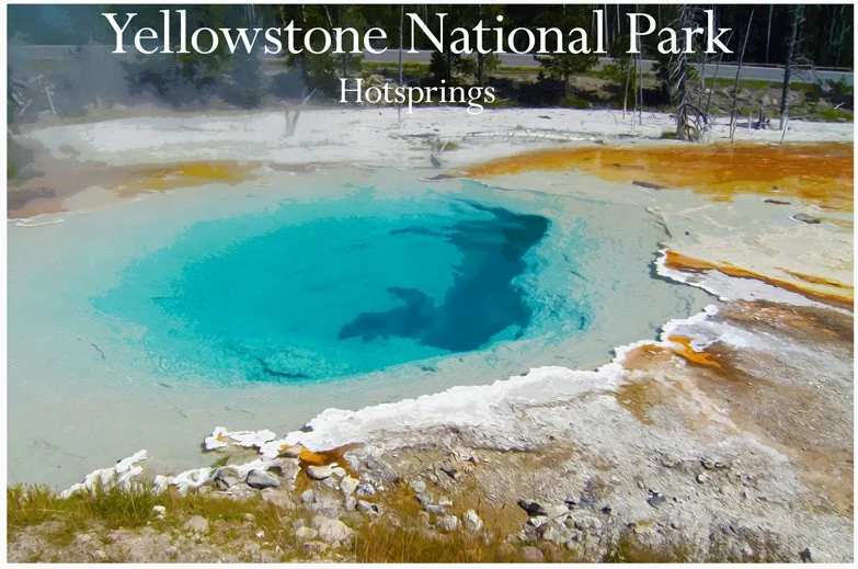 The deeper blue is Archaea only range