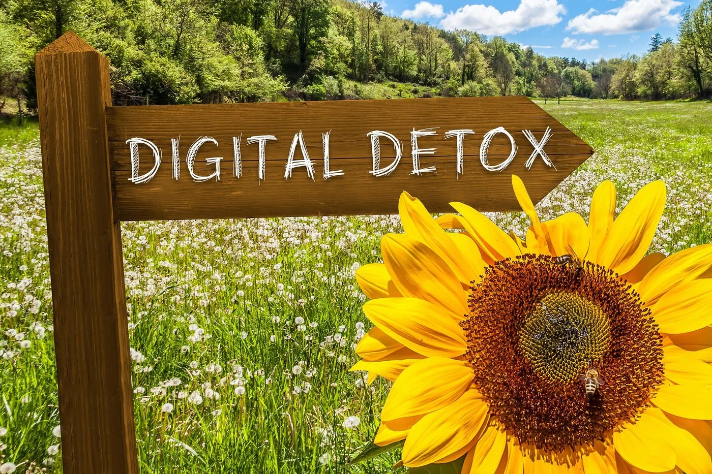 WE Are The Collateral Damage of Technology