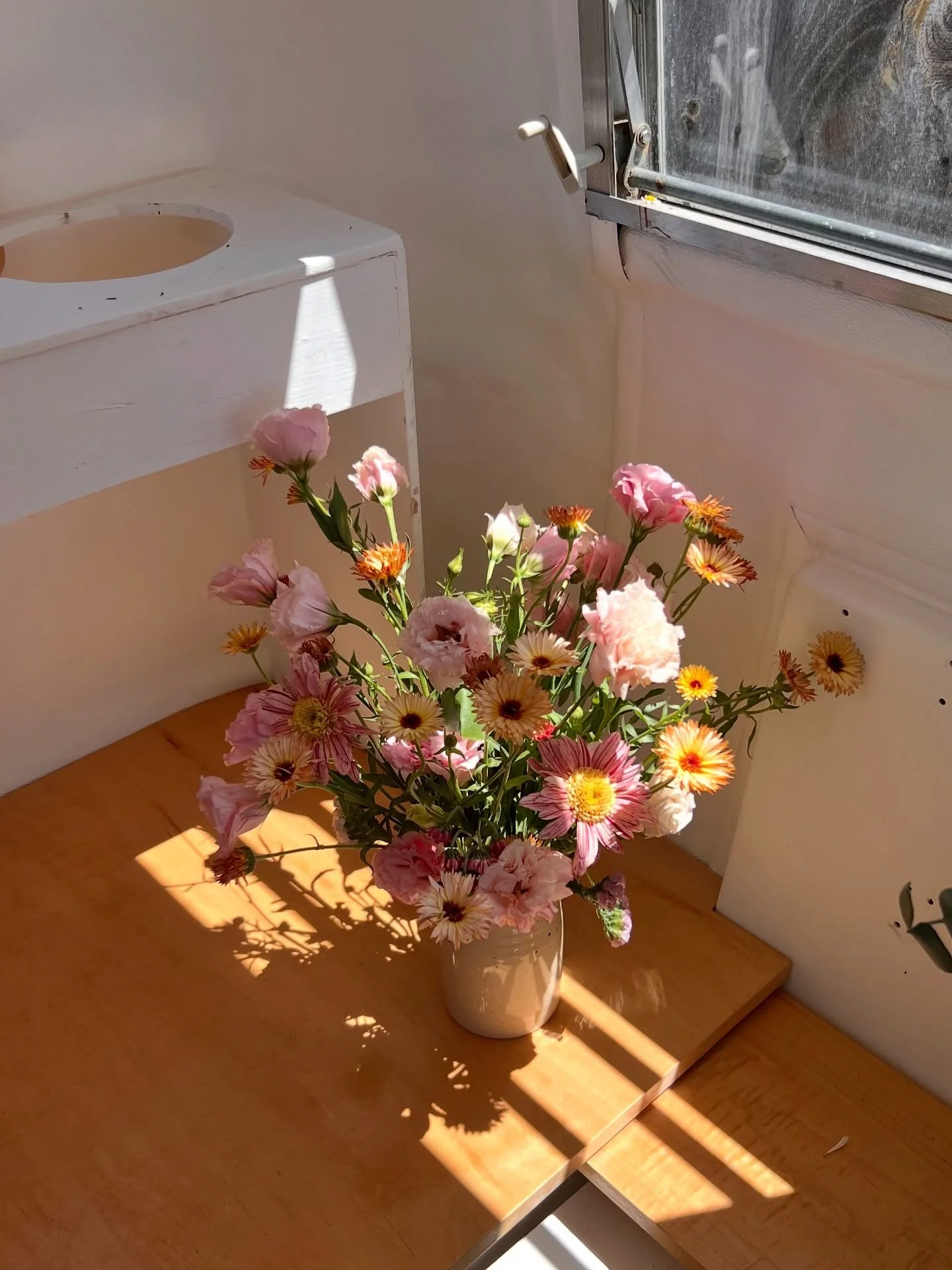 August! 🌻

Can&rsquo;t believe it&rsquo;s already august! The month that we try our best to savour the summer while feeling very excited for fall. But it always goes by too fast, and soon enough it&rsquo;s winter again! 
So come savour summer with u
