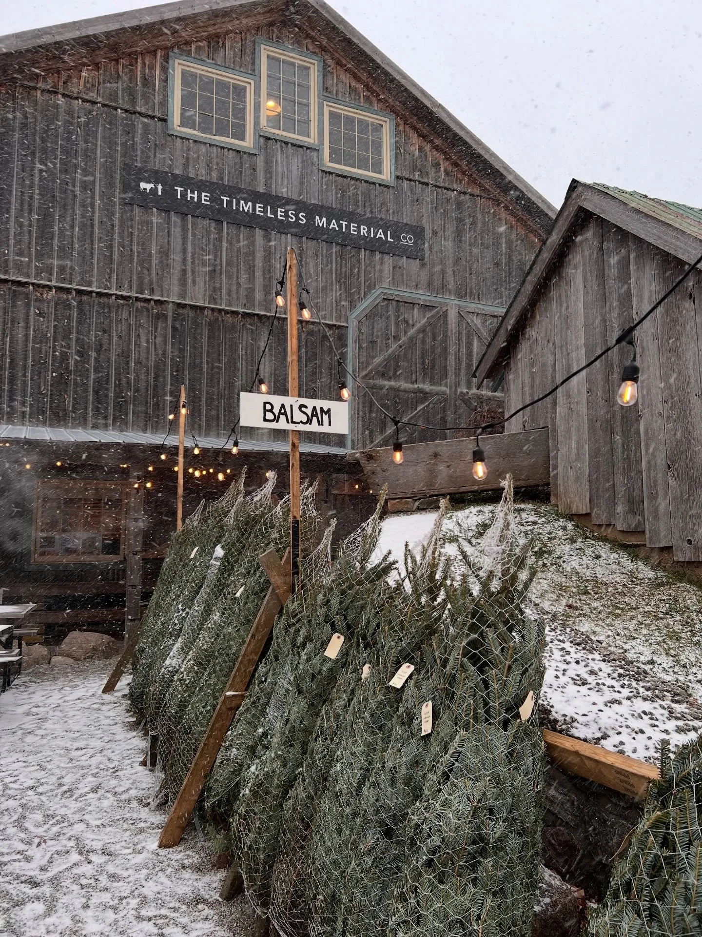 The current snow storm is reminding me of our snowy days in the Christmas flower camper last year. ❄️As much as I am missing the holiday season in the flower camper this year, I am enjoying the last couple of quiet weeks before our sweet babe arrives