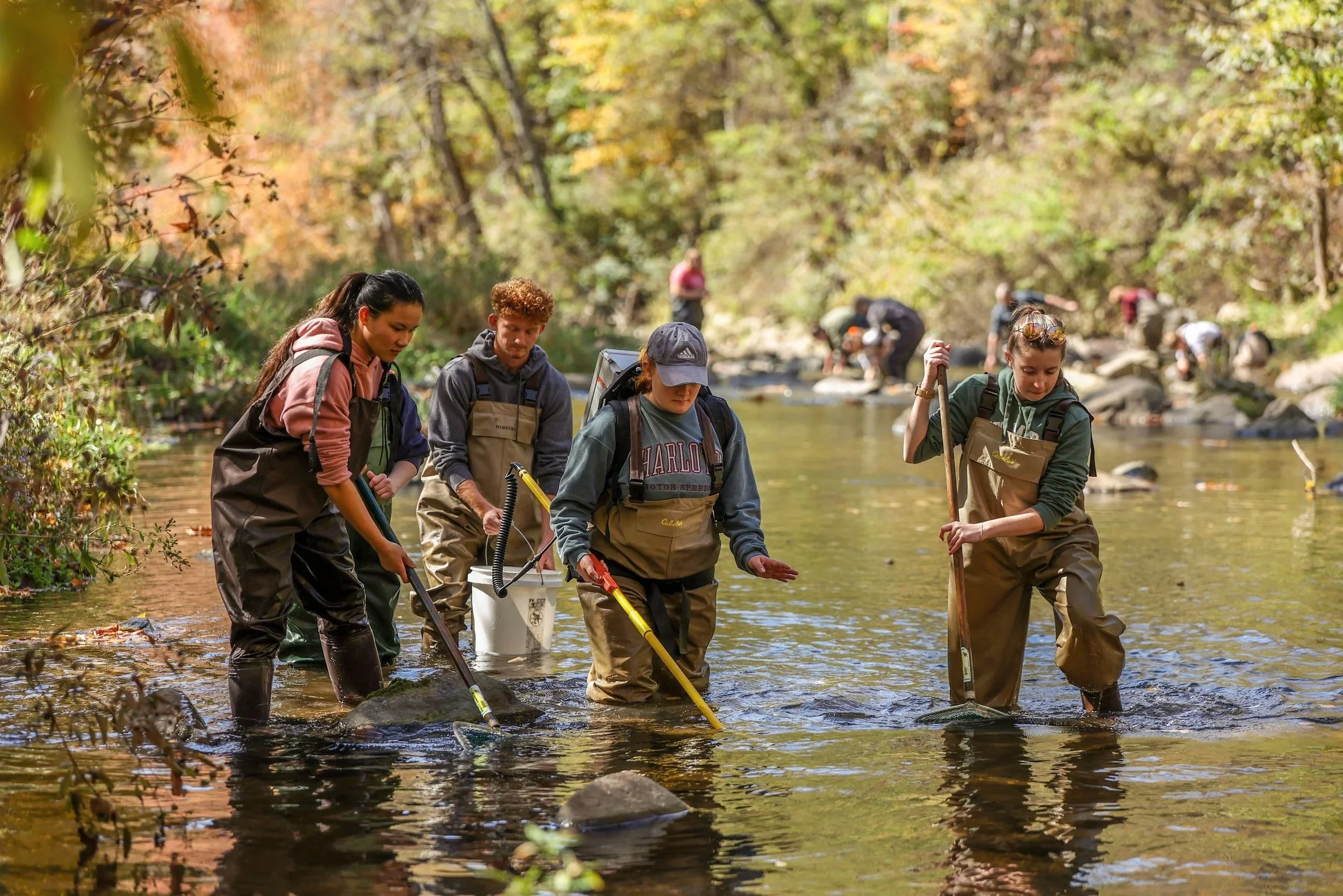 A group of students wade through the Elk
River looking for fish they can temporarily
 stun in order to study them.