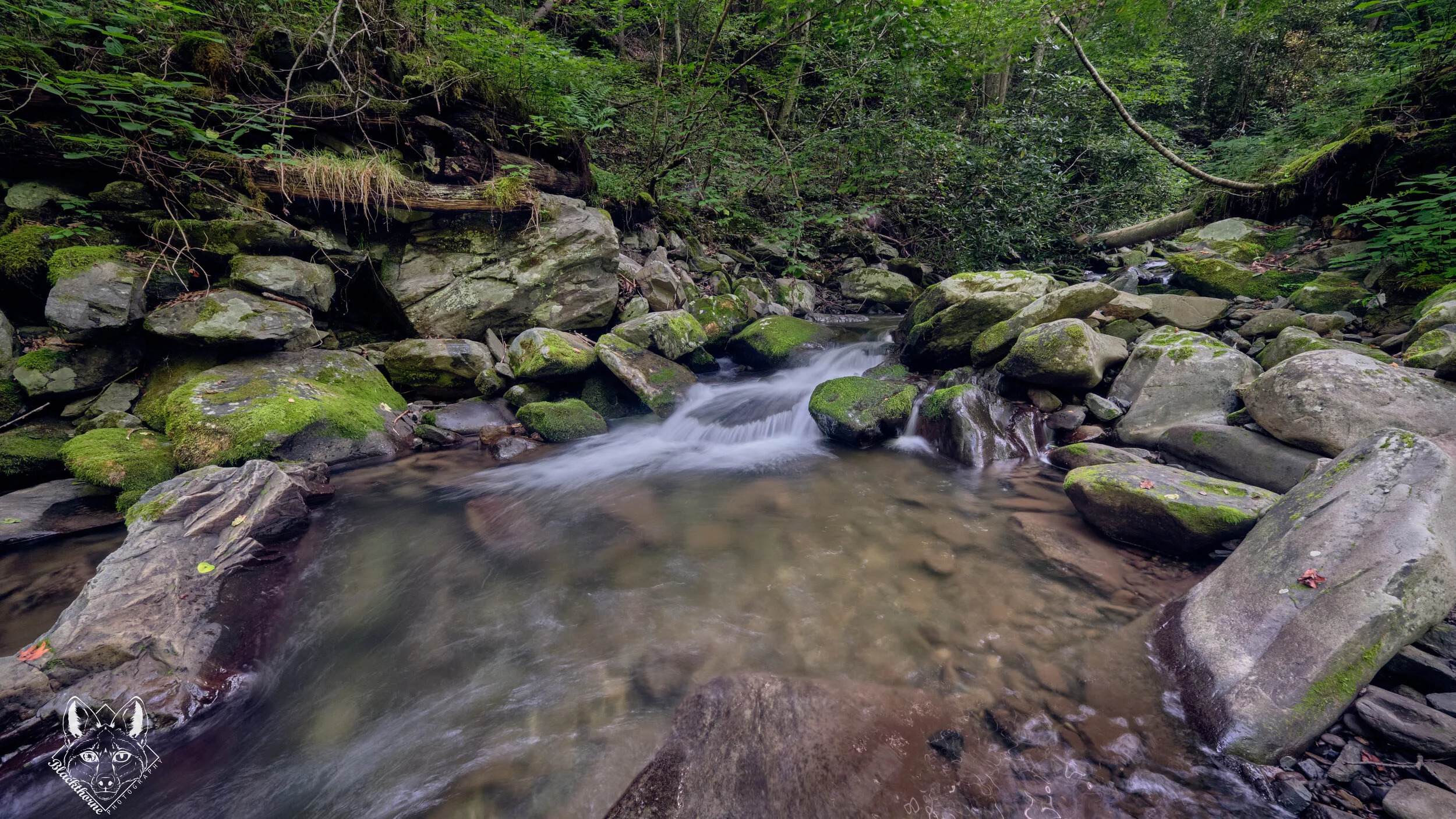 Aperture: f8 ISO: 1250 SS: 1/1.6 seconds Focal: 8mmFujinon 8-16mm