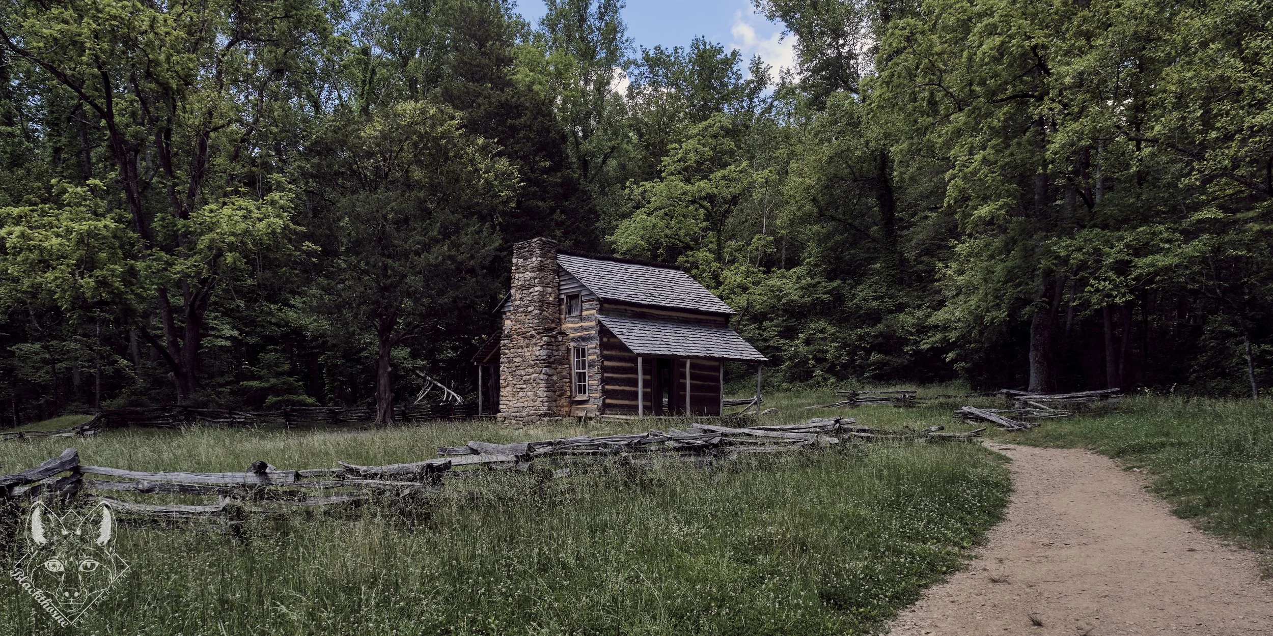 Cabin in the Woods