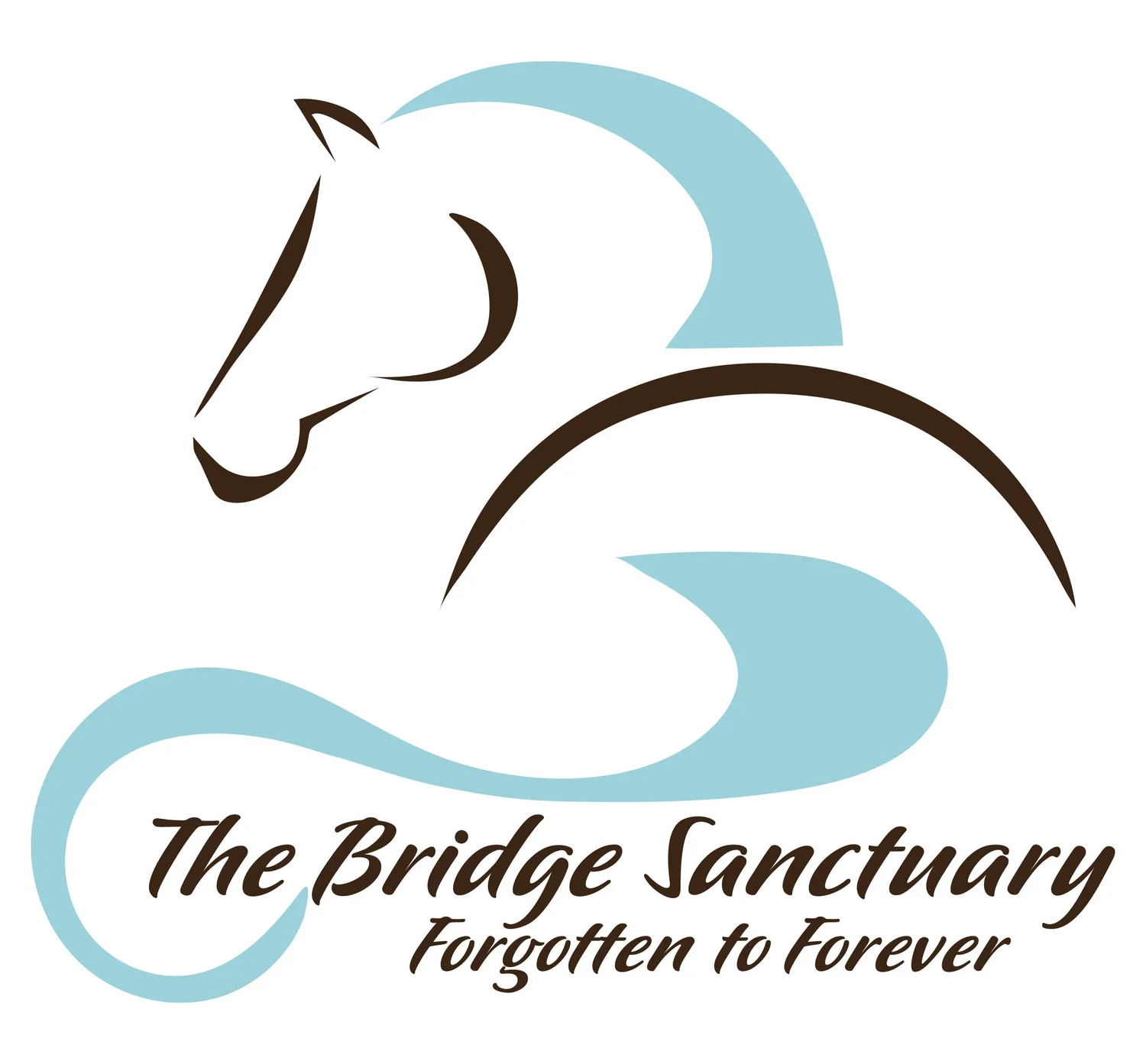 The Bridge Sanctuary