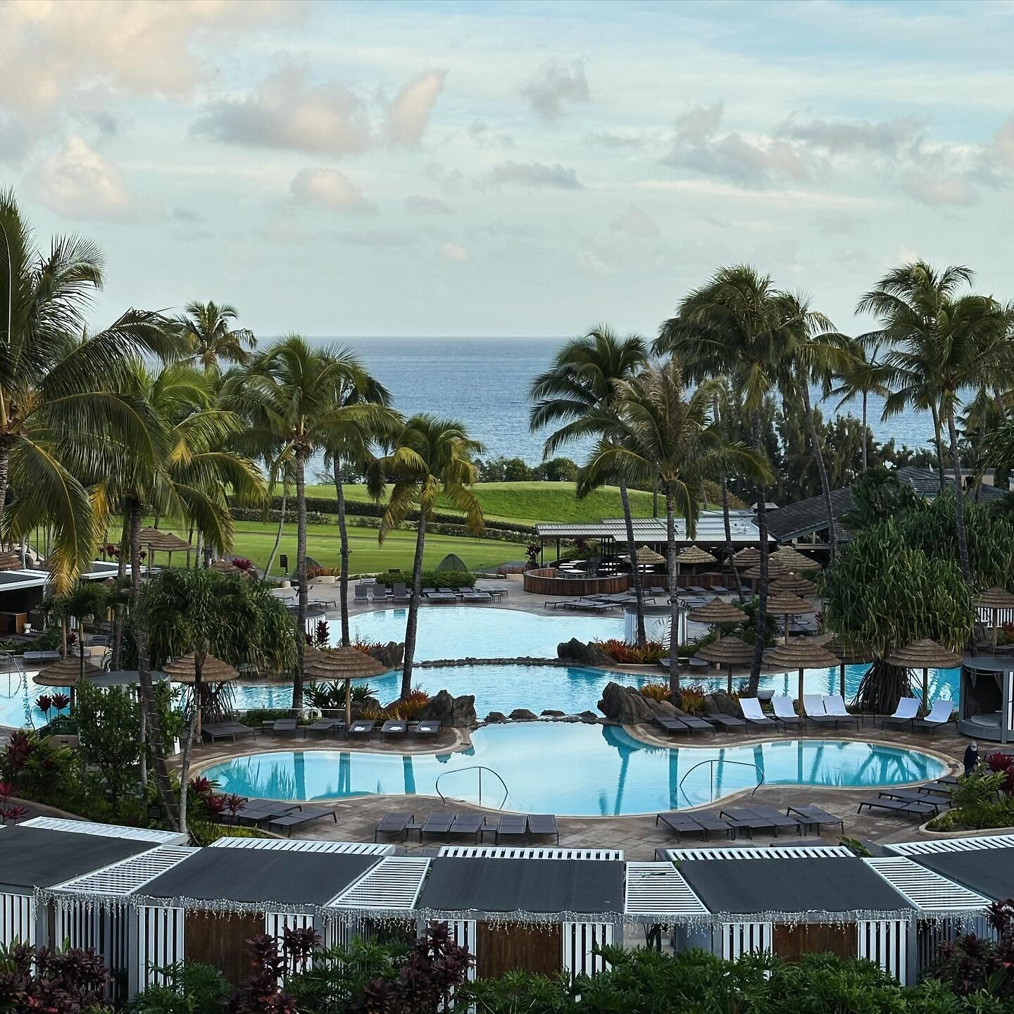 A perfect way to escape winter chills! @ritzcarltonkapalua 
This ocean front gem is for anyone who loves beach, golf, tennis, pickleball, hiking or just relaxing by the pool. 
Mahalo to the team at this glorious place! 
#mauistrong #luxurytravel #vir