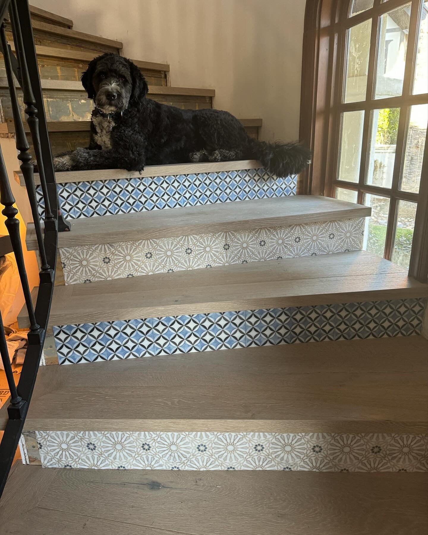 Doggy approved 🐾
#spanishrevival 
#interiordesign