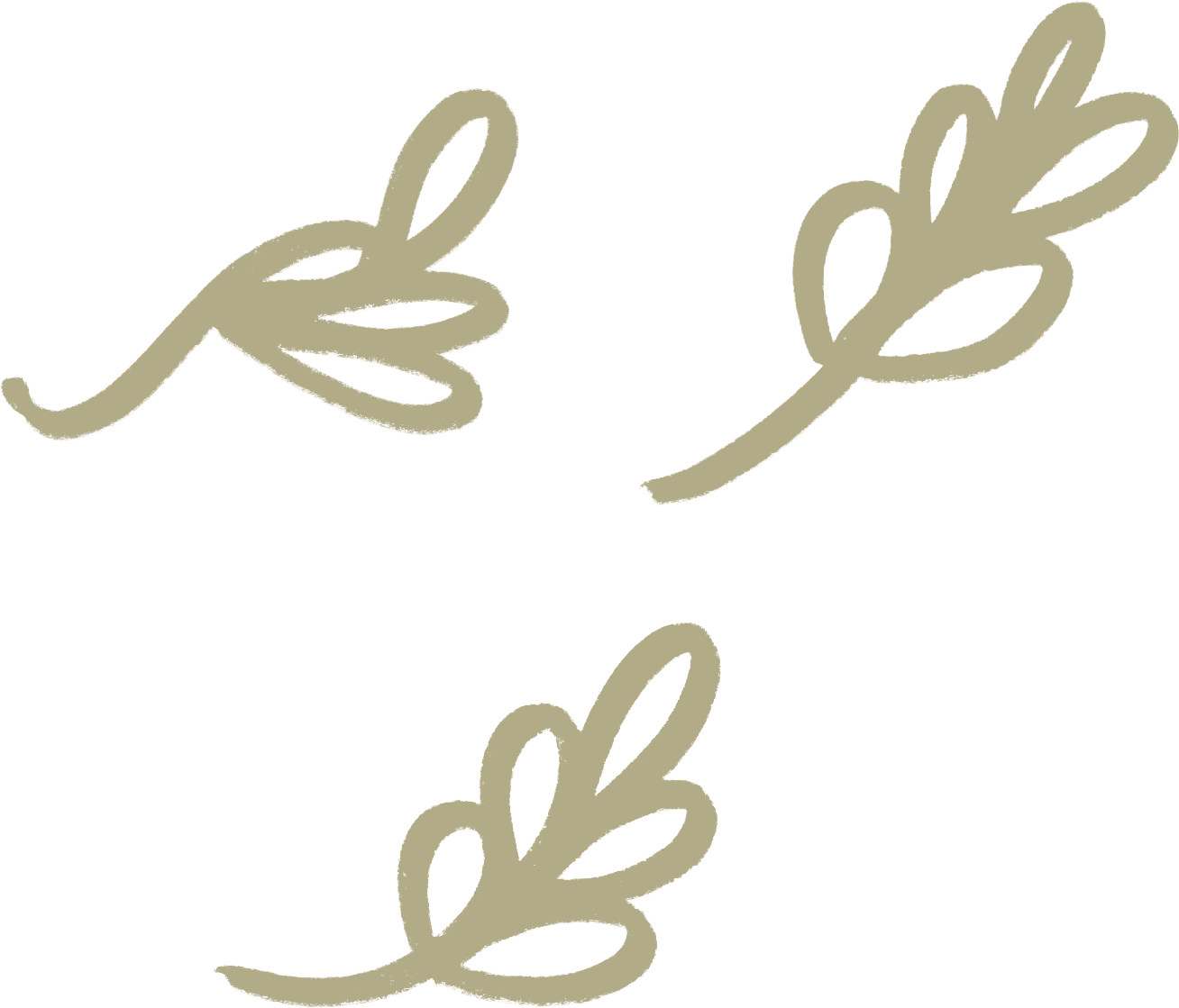 Decorative beige lily-pad shapes on a black background.