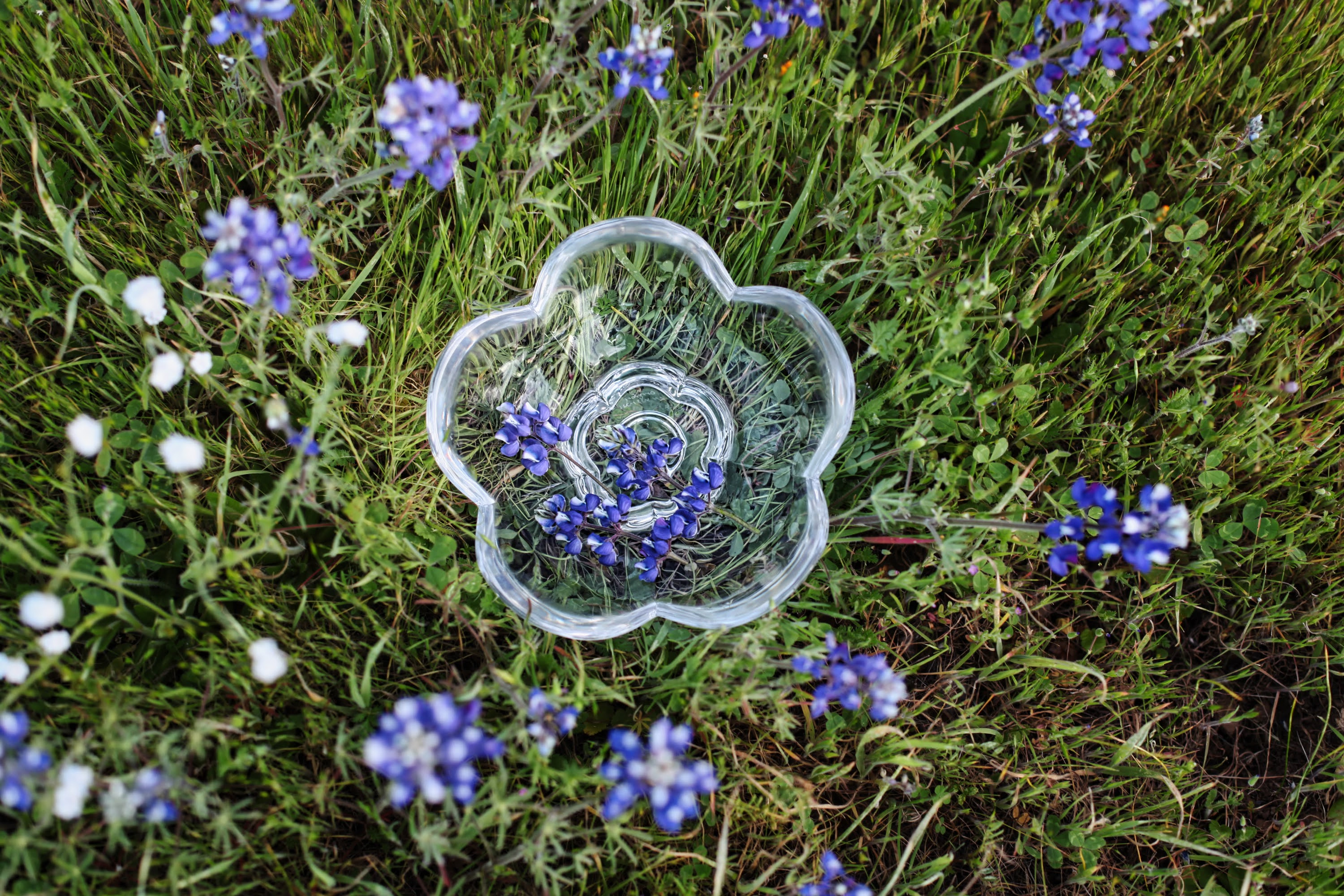A clear glass flower-shaped container filled with small blue flowers, placed in a grassy field with purple and white flowers.
