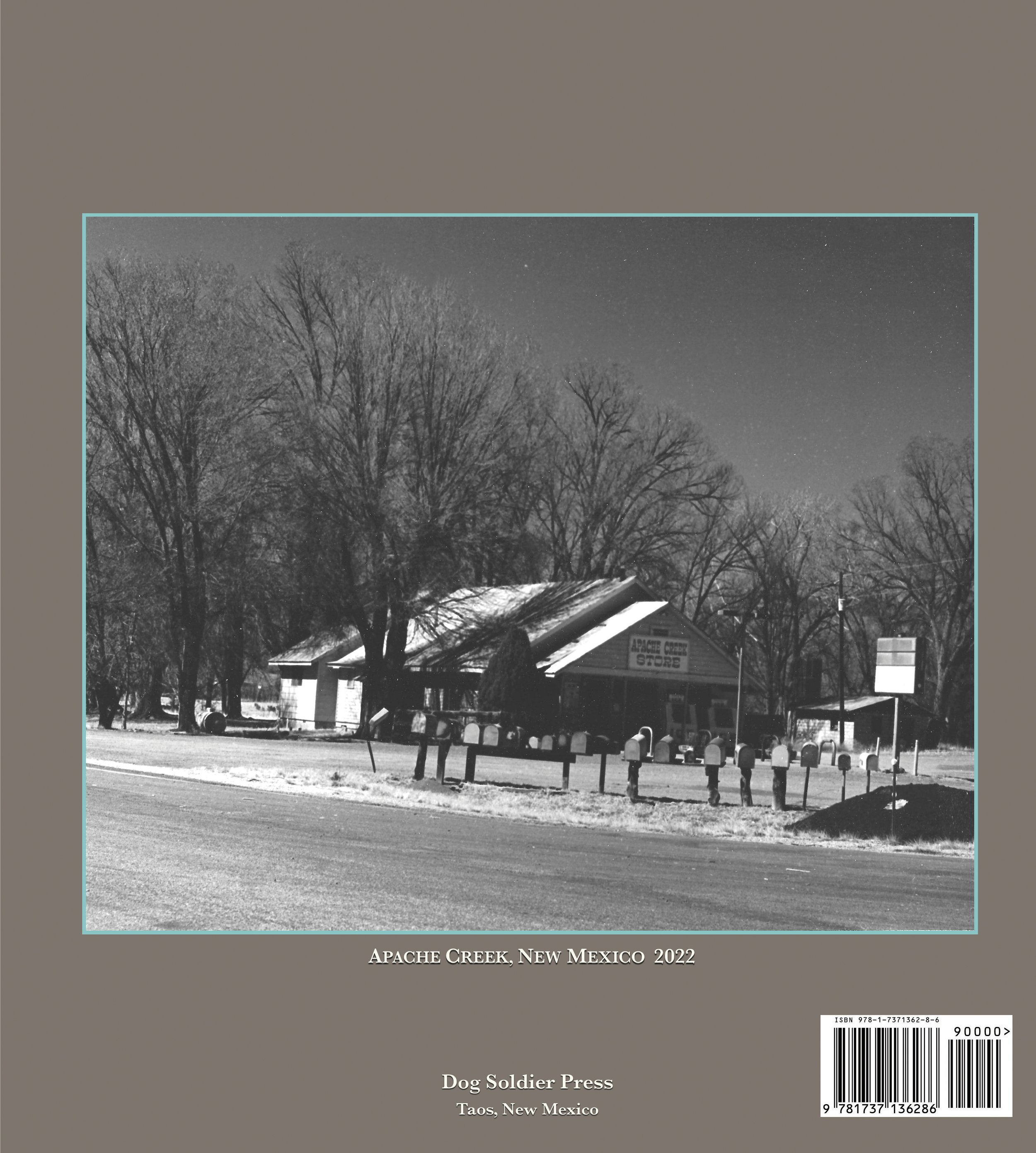 SWLP_Dust-Cover-BACK_120dpi_v38_RGB.jpg