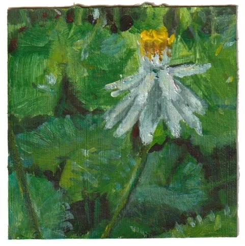 A painting of a white daisy flower with a yellow center set against green foliage.