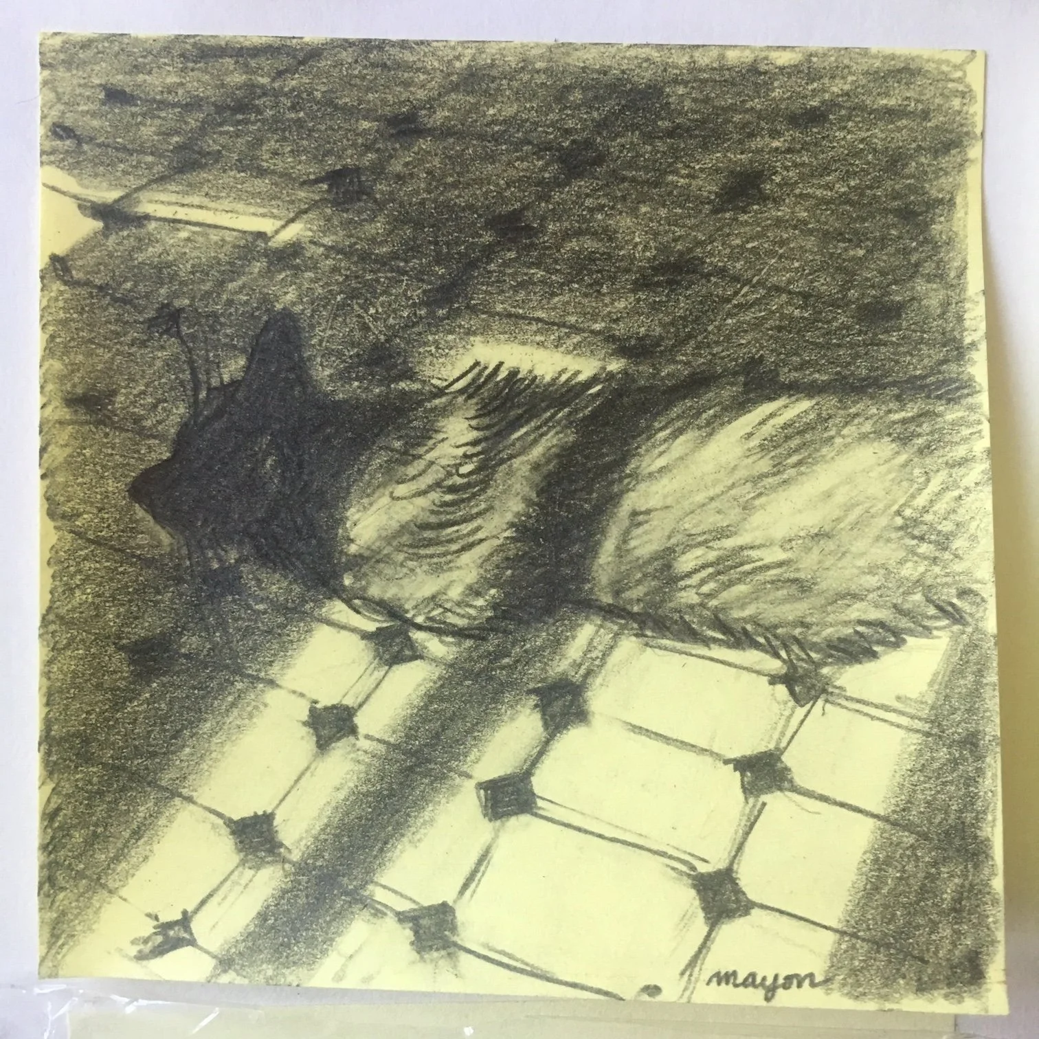 A pencil sketch of a sleeping cat on a tiled floor. The cat is curled up, with its head resting on its paws and eyes closed.