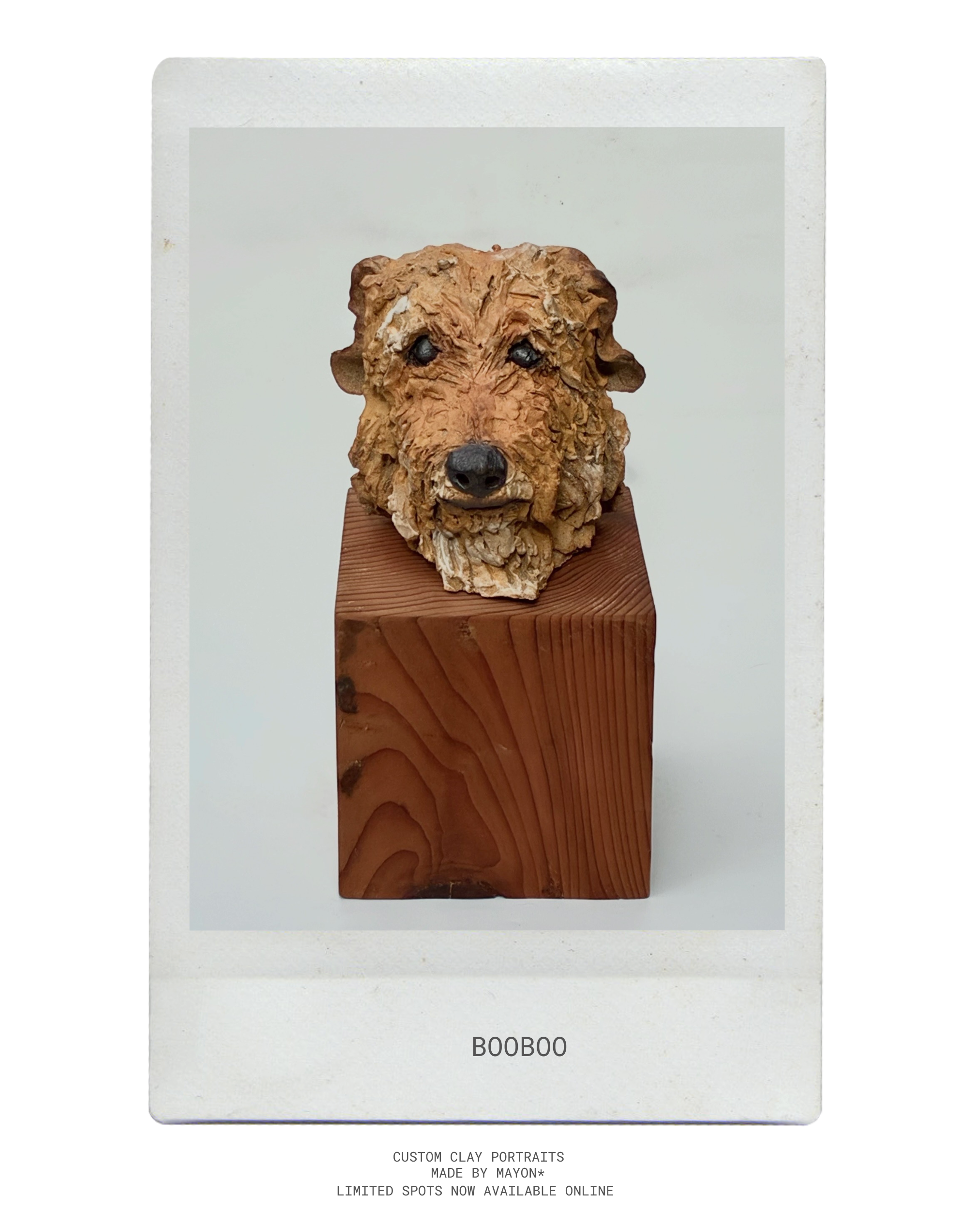 Custom Clay Portrait