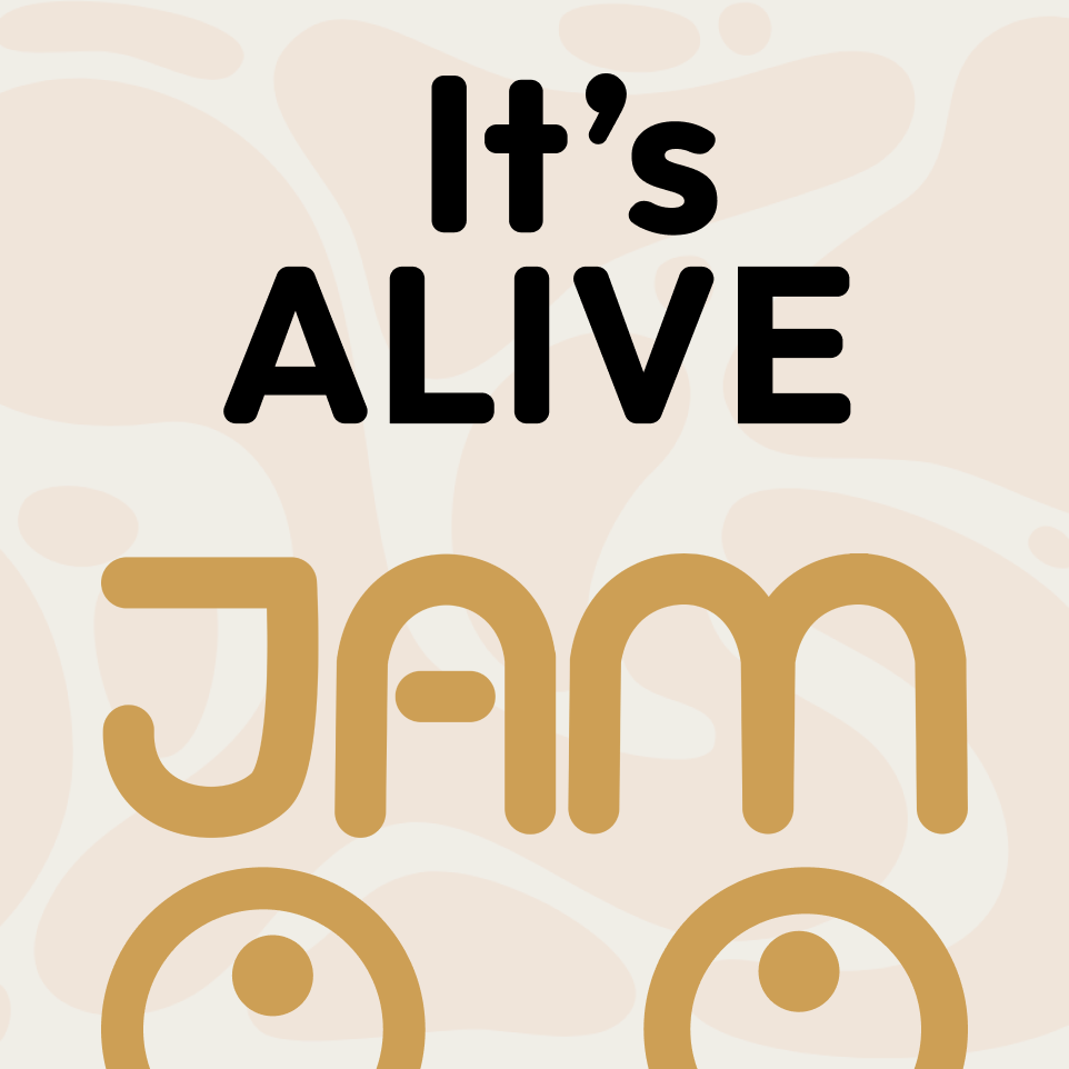 How Jamwise Works: A Case Study in Constraint-Driven Design