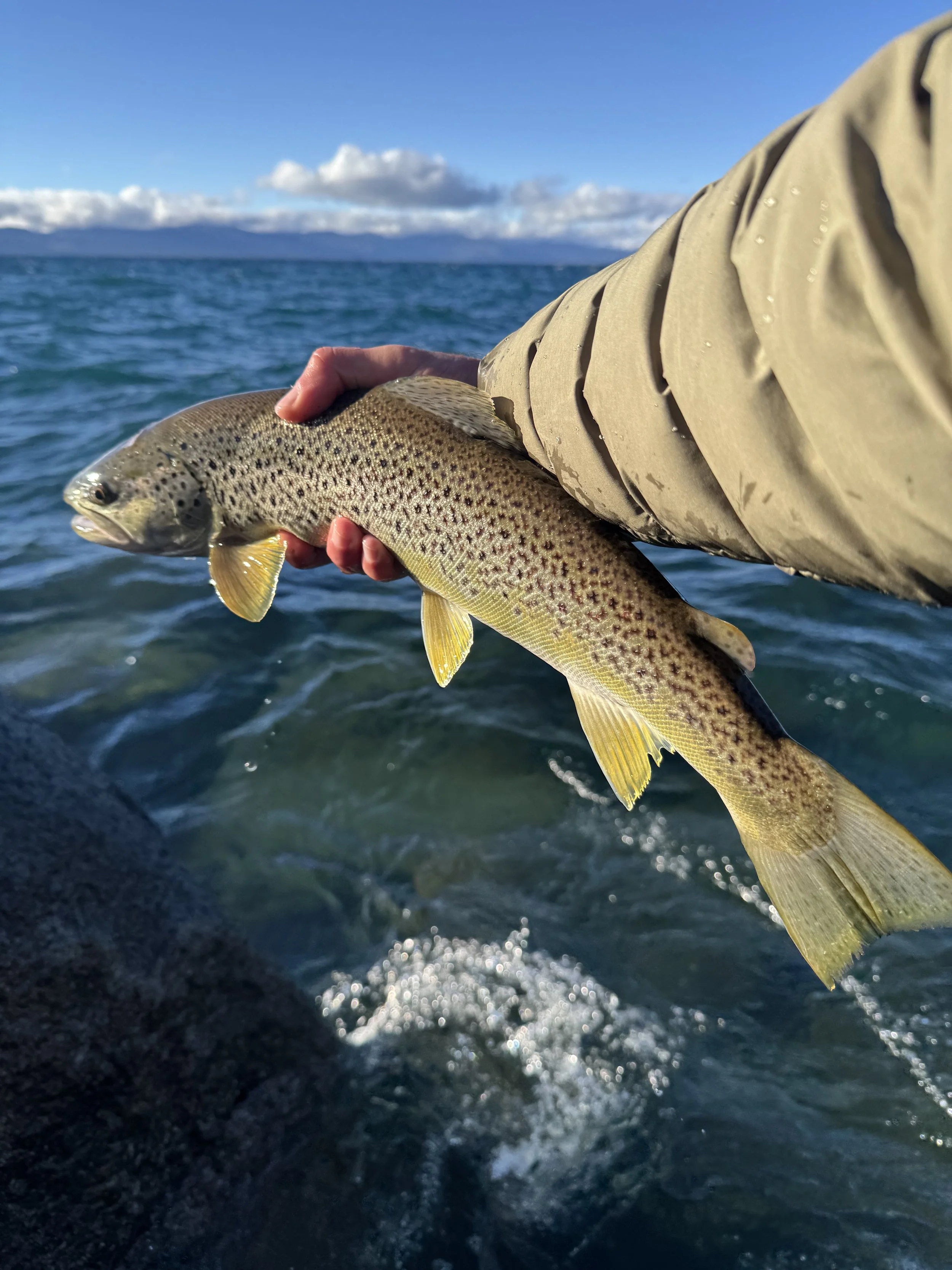 Finally Some Precip!