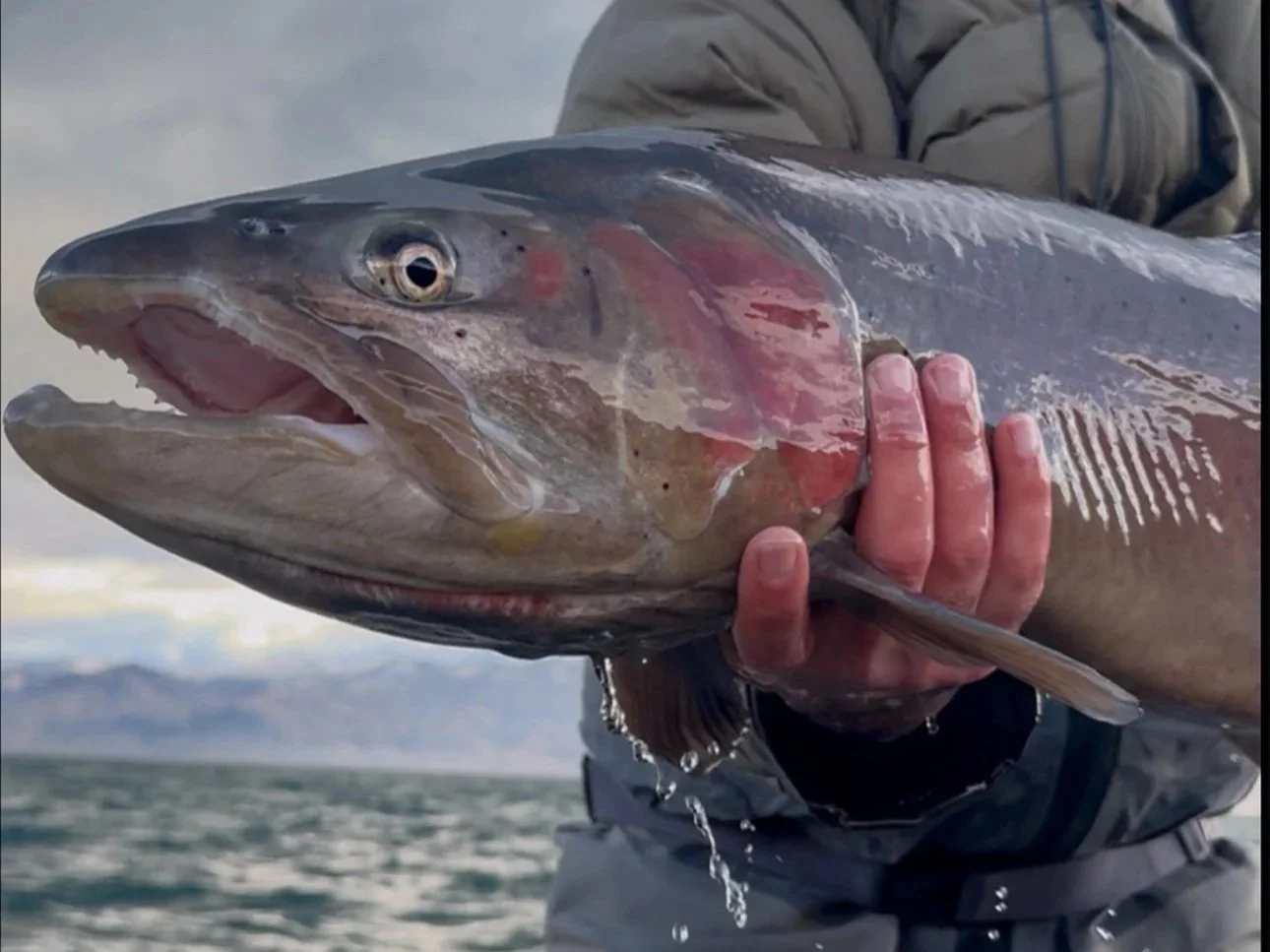 Wild Weather Woes And The Crystal Ball