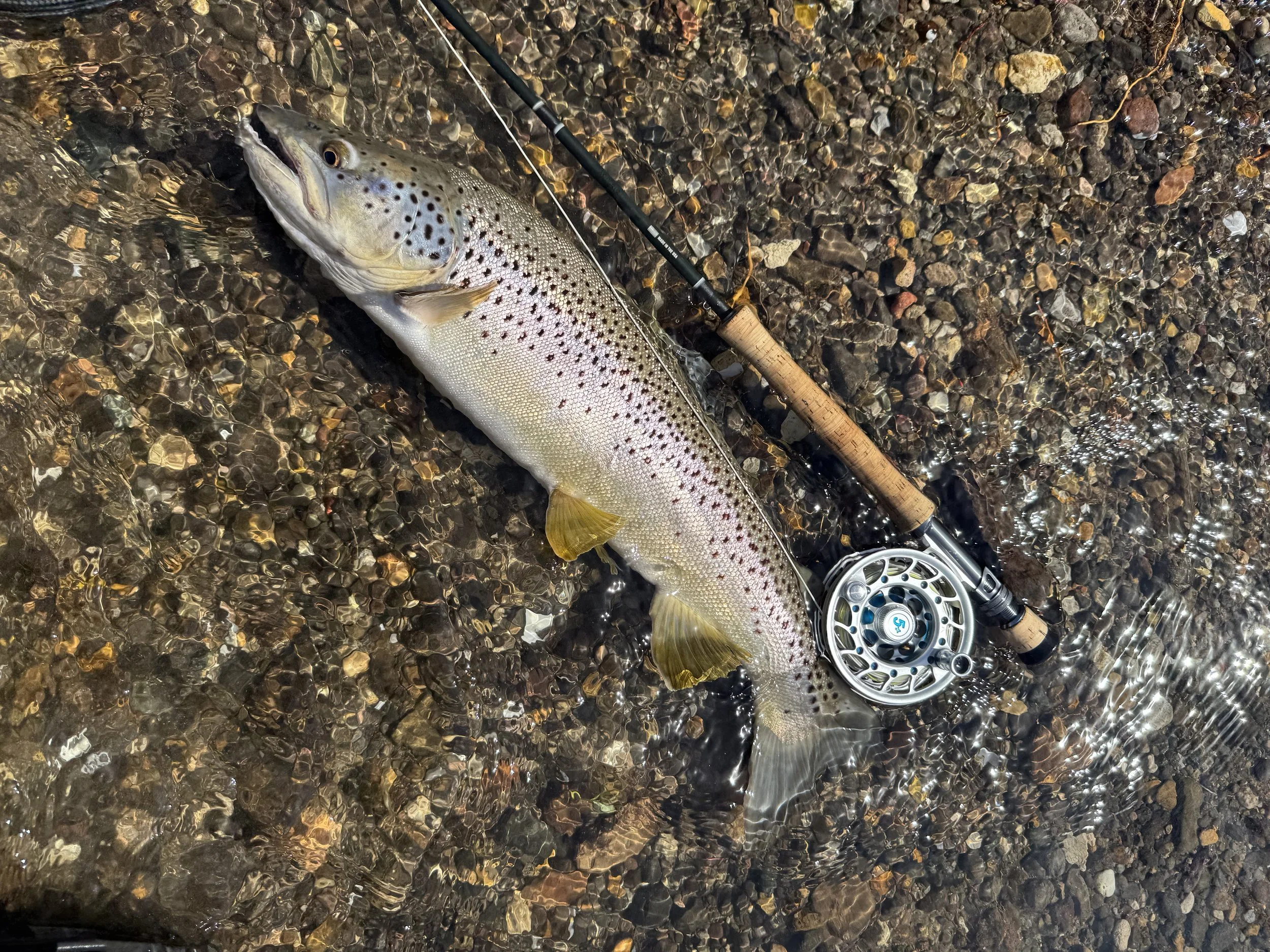 Hopefully Some Weather Inbound