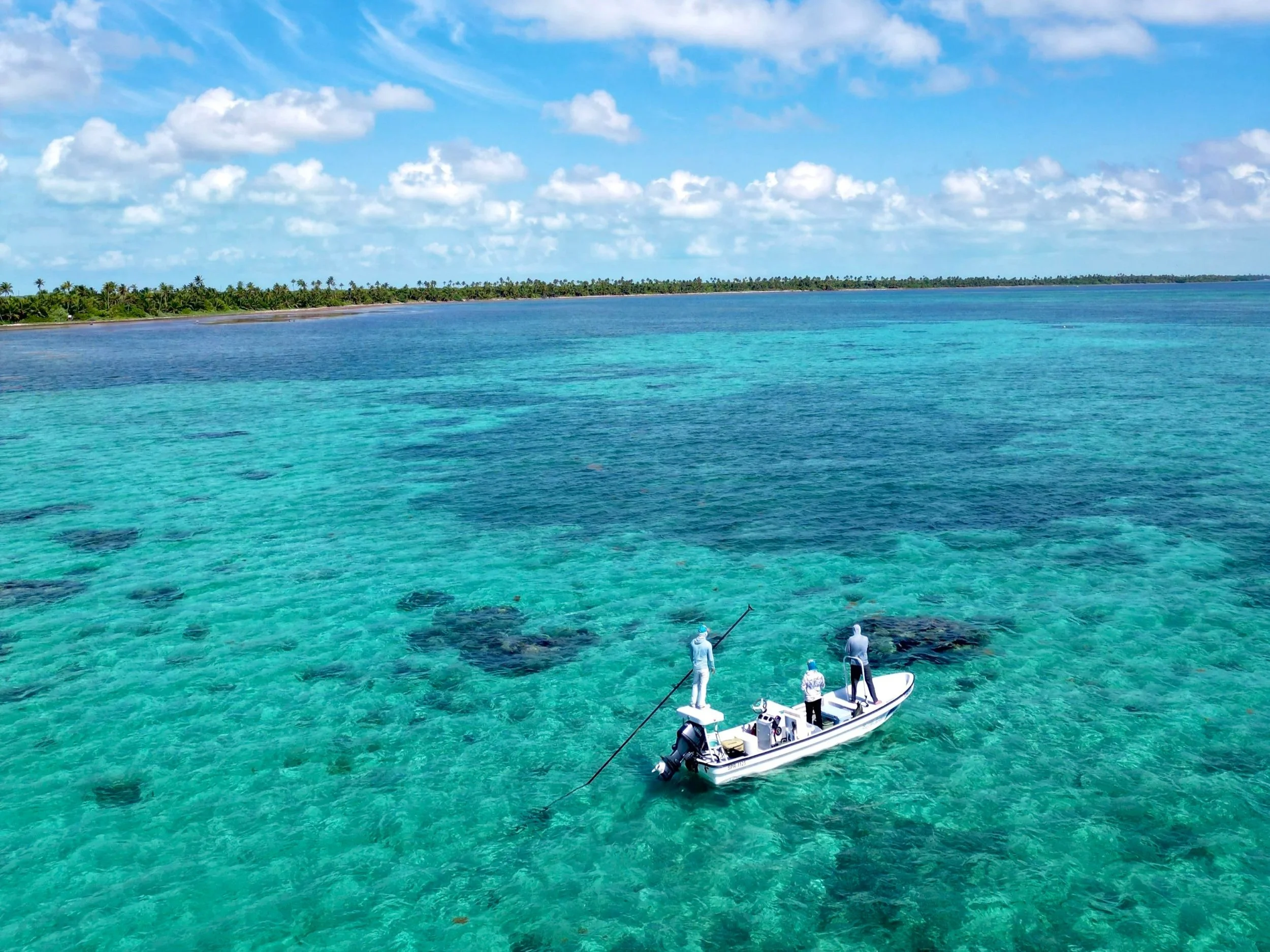 DJI_0311+2.jpg