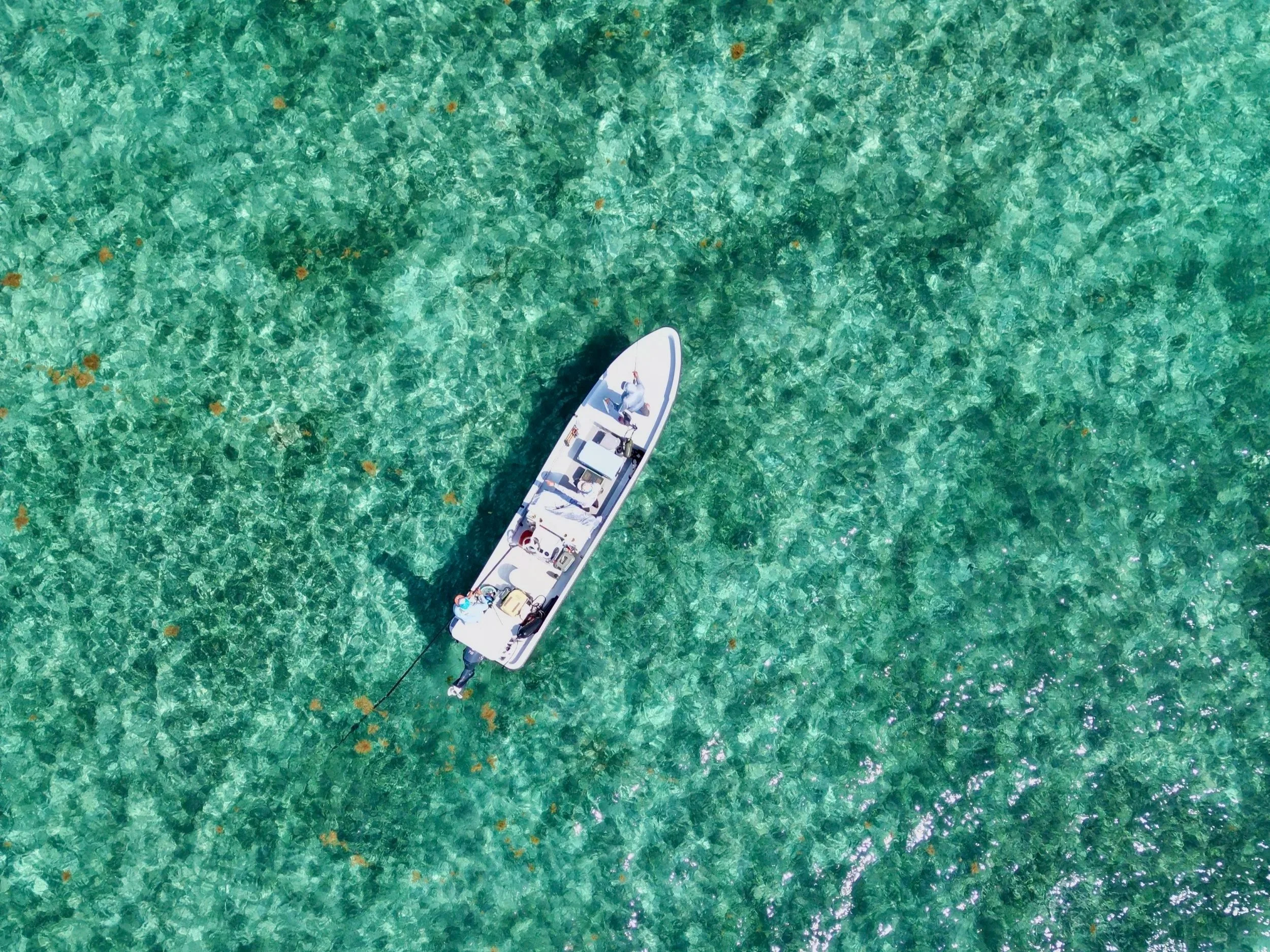 DJI_0313.jpg