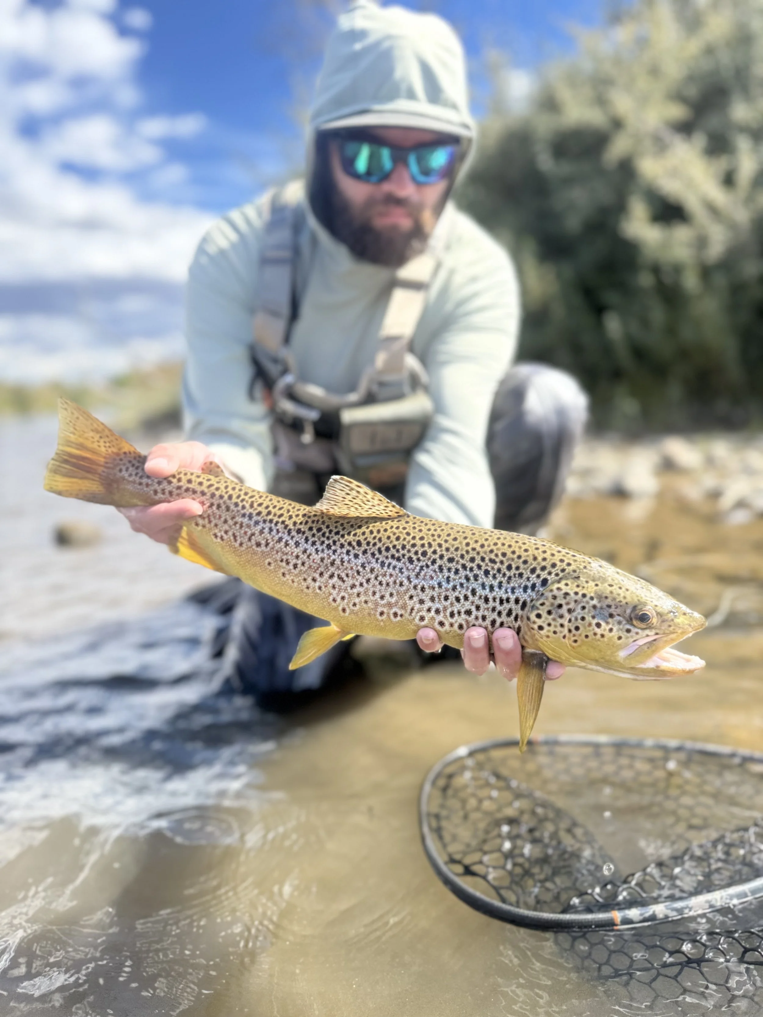 Fire in the Canyon…