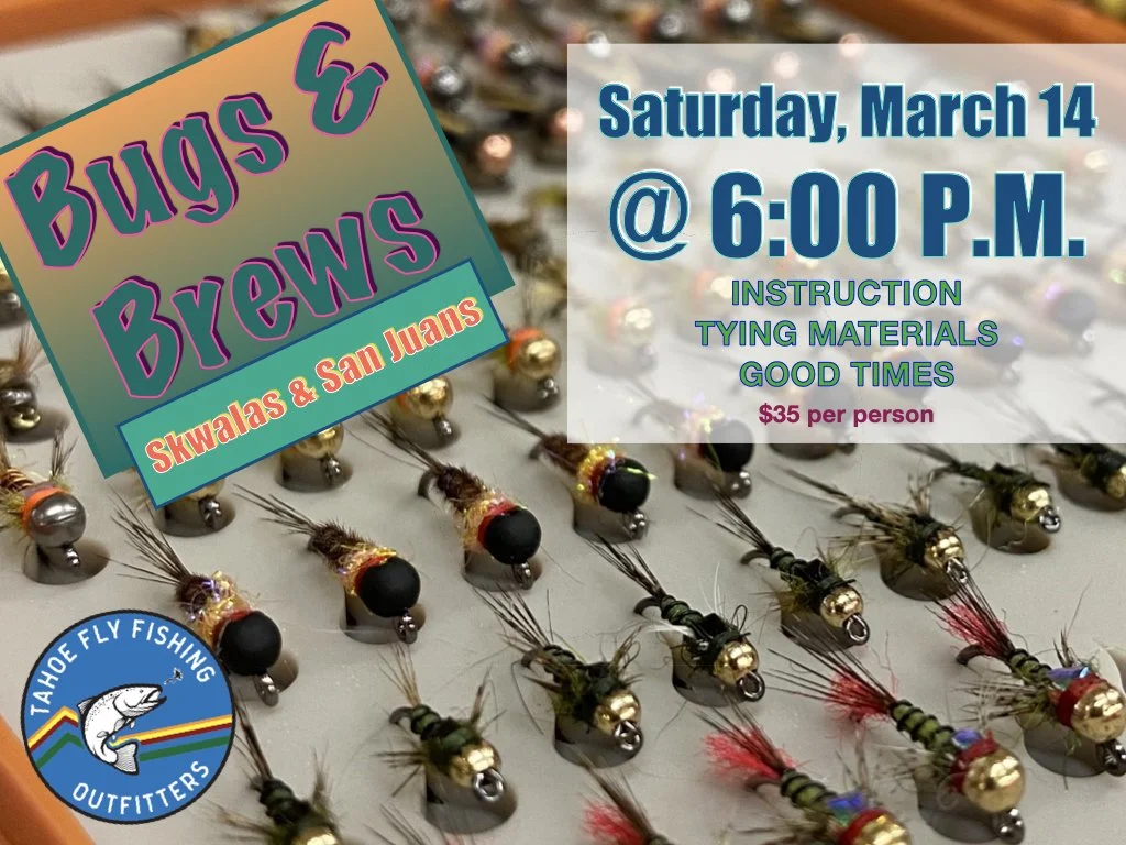 Bugs & Brews - Spring 26.001.jpeg