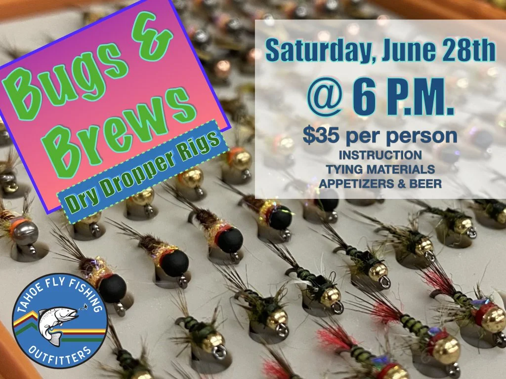 Bugs & Brews Dry Dropper.001.jpeg