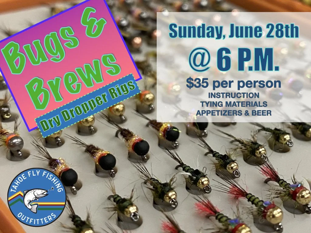 Bugs & Brews Summer 2026.001.jpeg