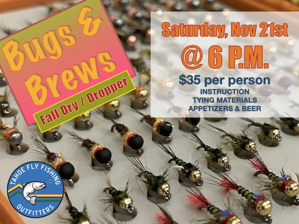 Bugs & Brews Fall 2026.jpeg