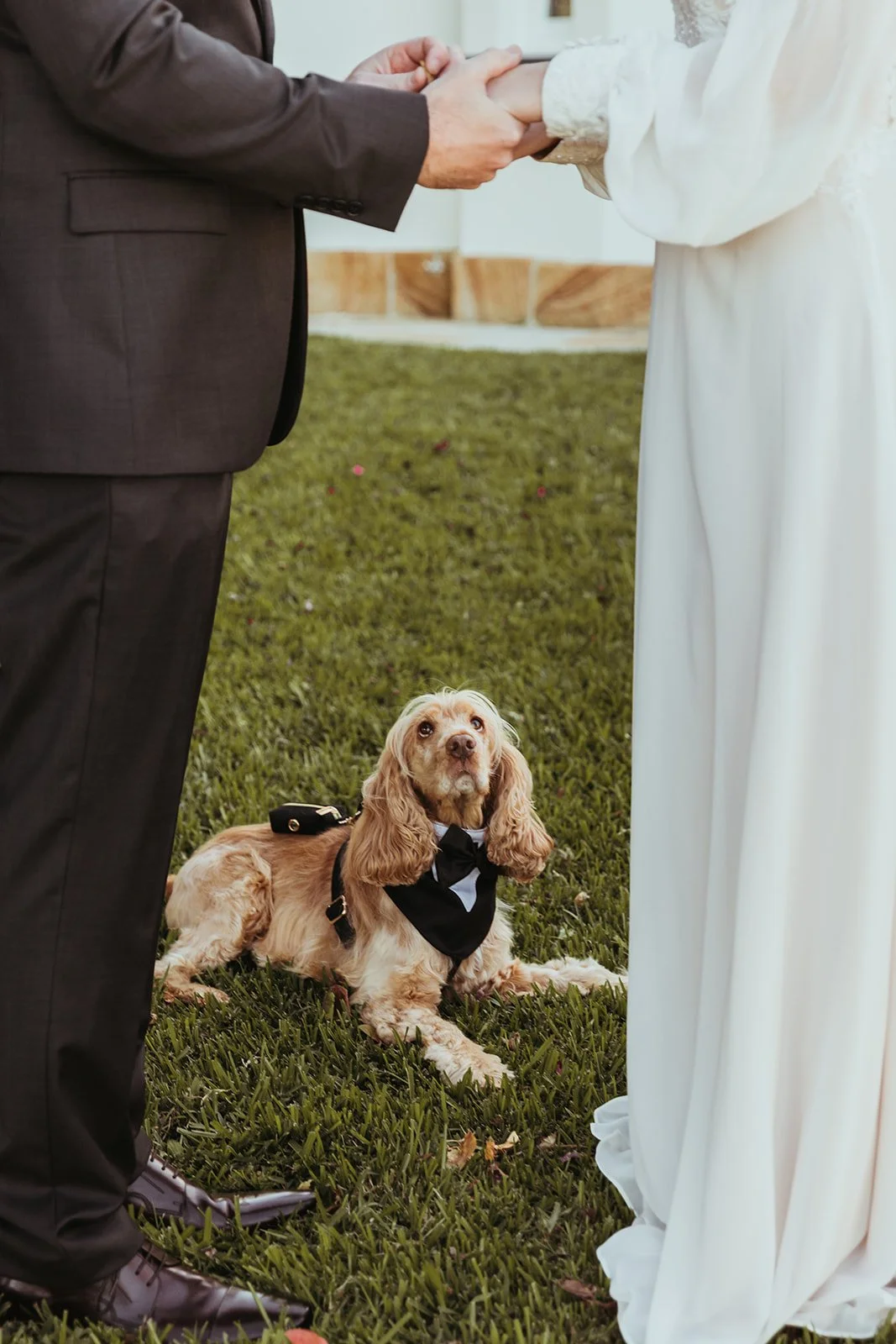 Lauren & Brendan_Berry Kangaroo Valley Elopement_sol flare photography-226.jpg
