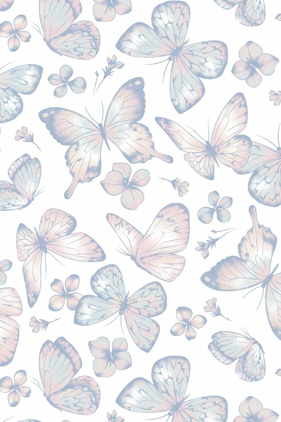 Skoback_cyno-butterflies.jpg