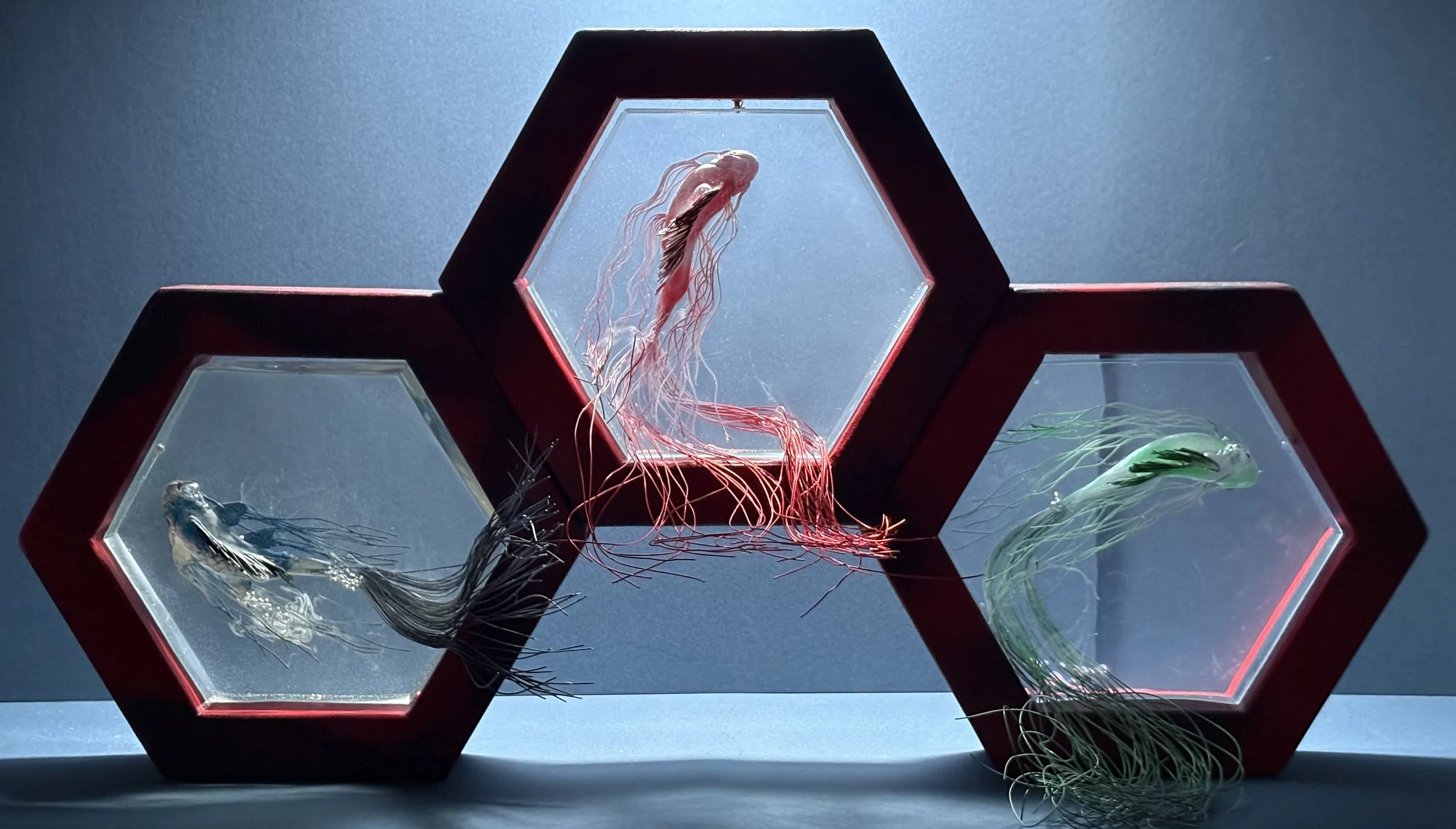 IMG_2917.jpeg
