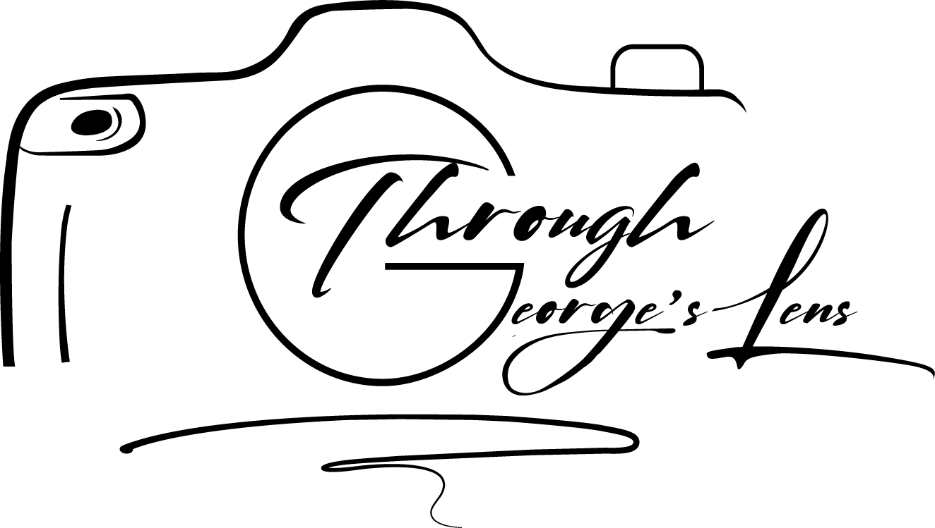 Through George&#39;s Lens