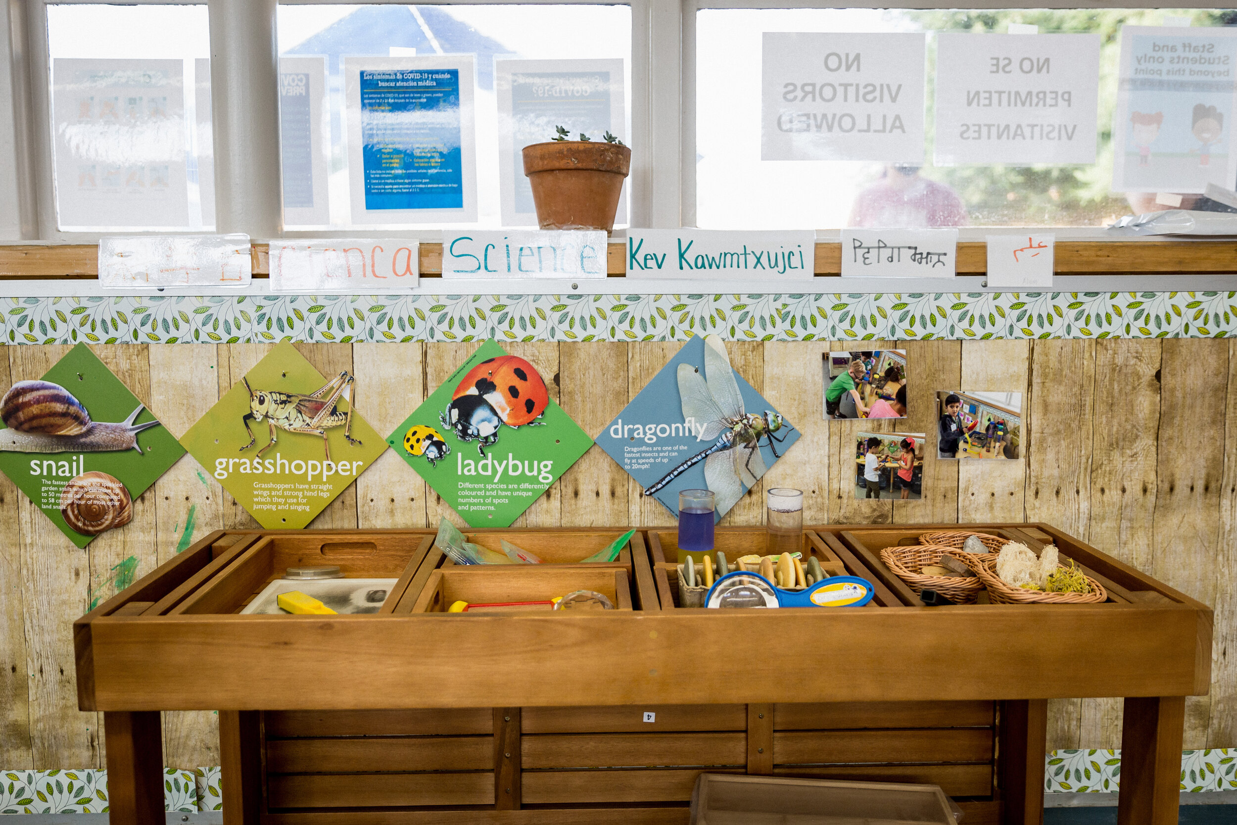 Educare_0001.jpg
