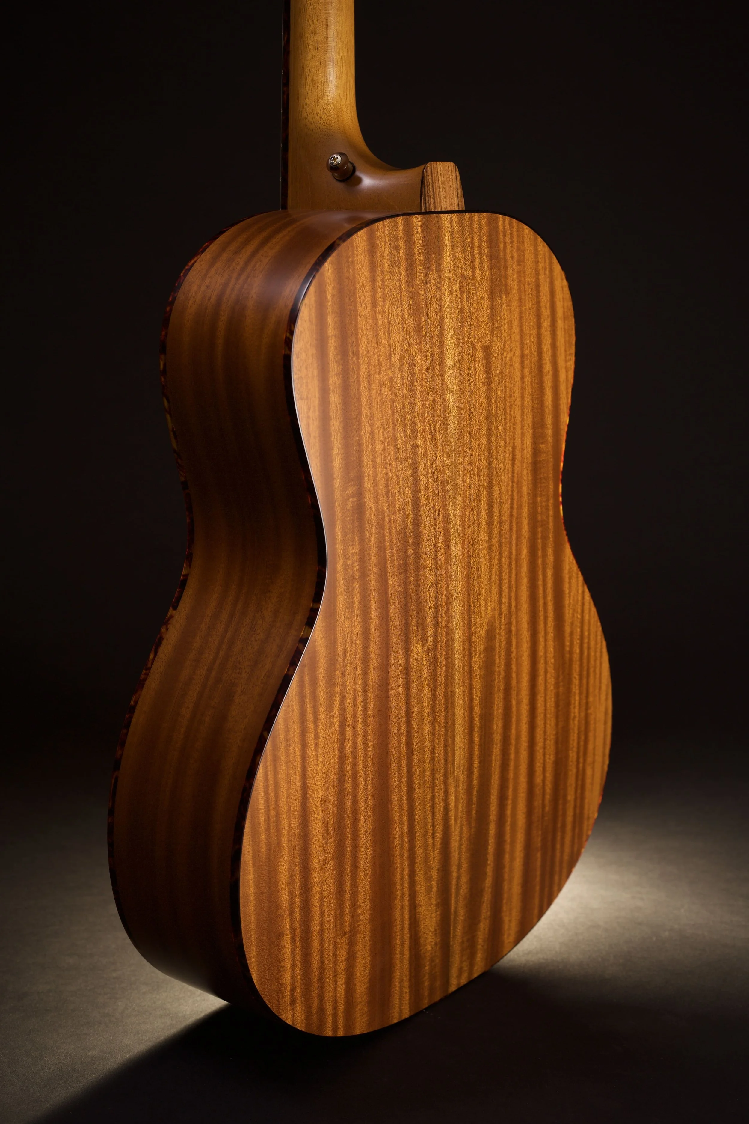 Warm yellow and red traditional Mahogany toned