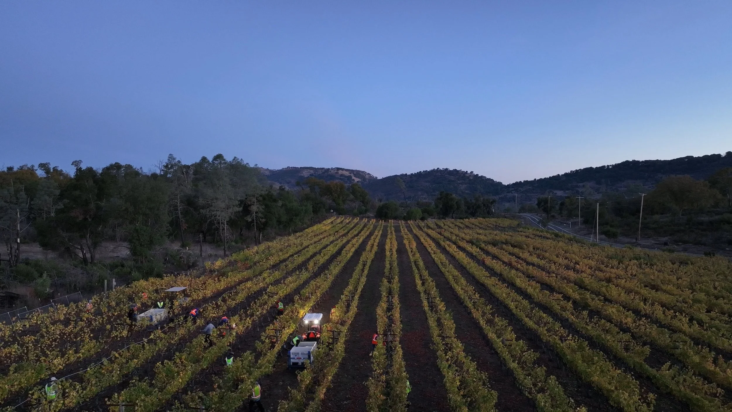 Harvest-2023-Still.DJI_0008_10.jpg
