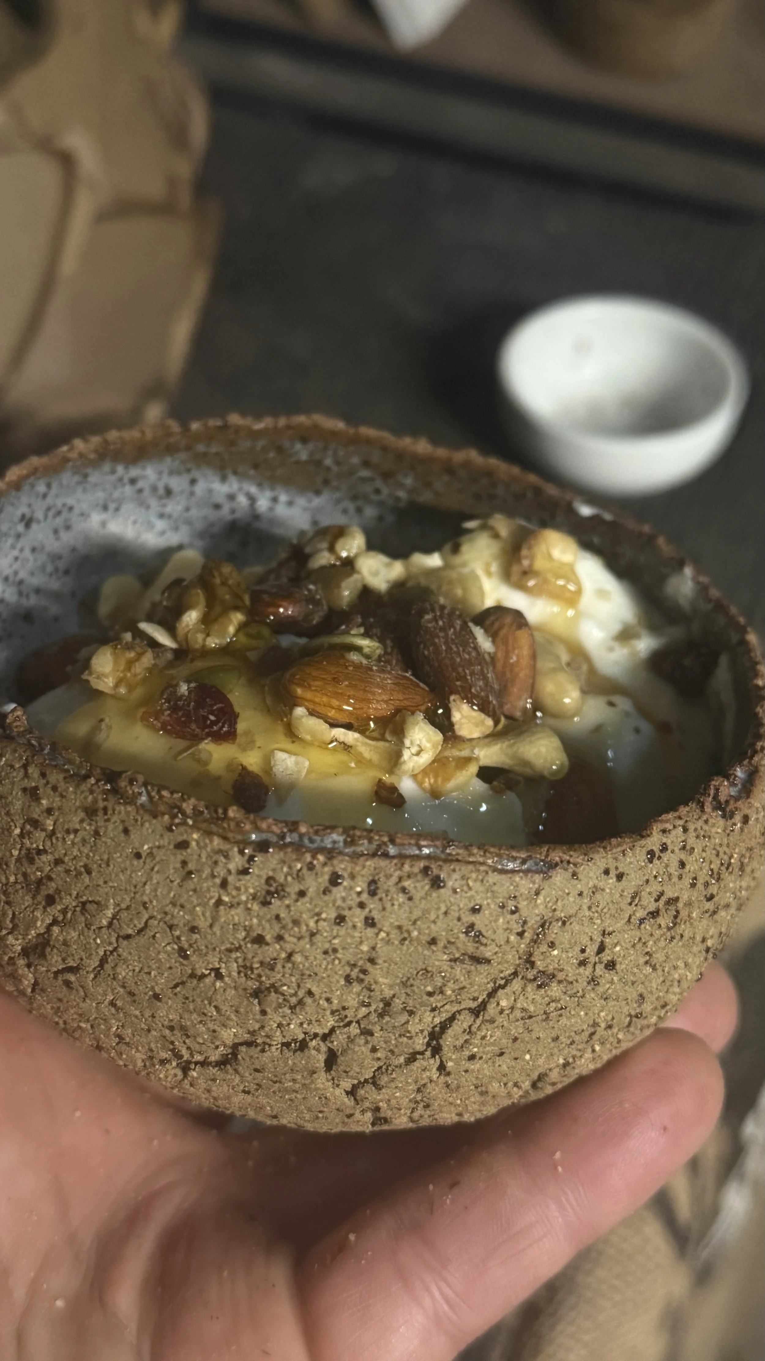 A rustic bowl made of rough, dark brown material, filled with yogurt or a similar creamy substance, topped with nuts, honey, and dried fruit. The bowl is held in a person's hand.