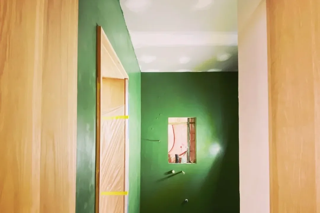 Venetian Plaster Sunshine Coast