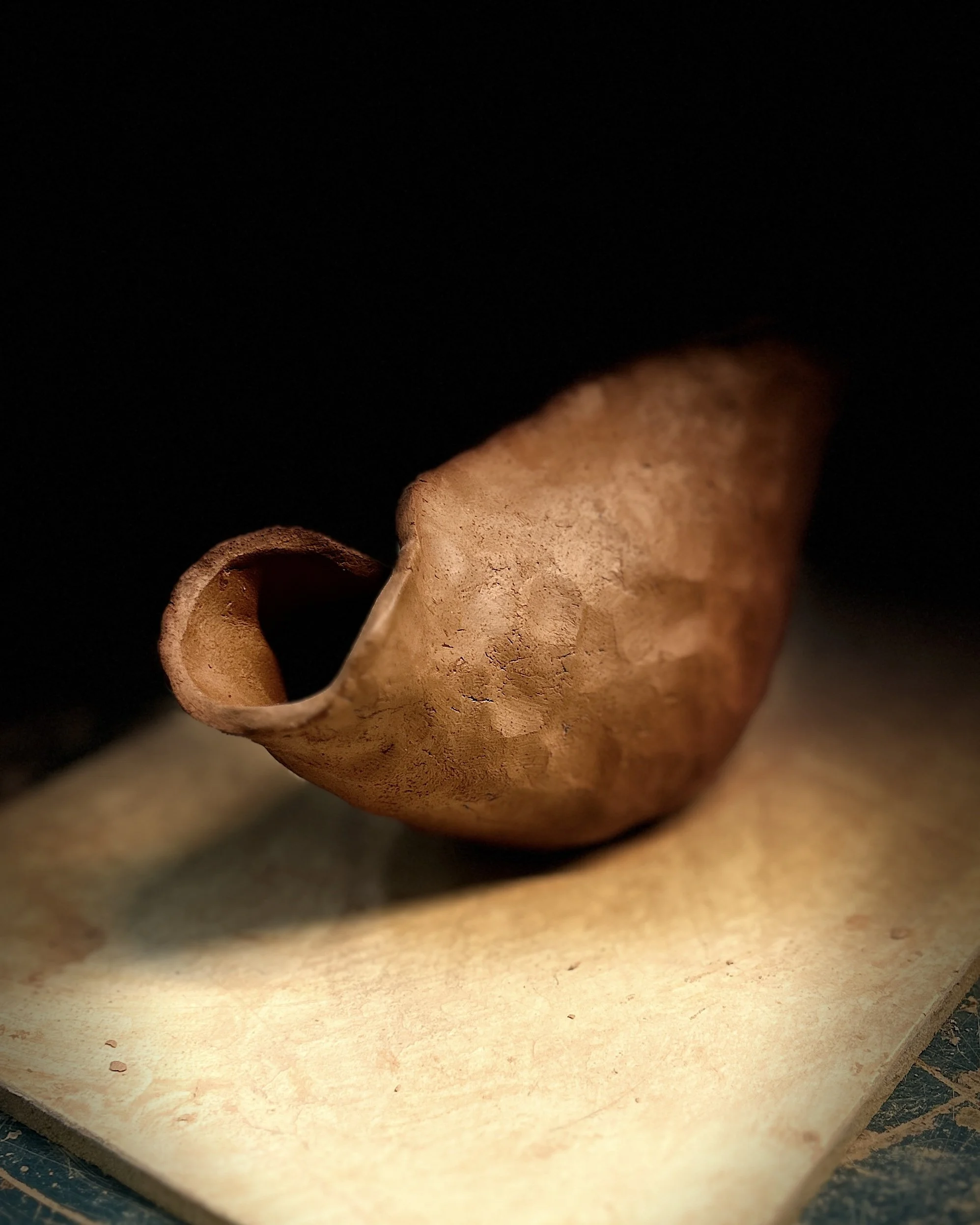 A curled, dried brown mushroom on a piece of parchment paper with a dark background.