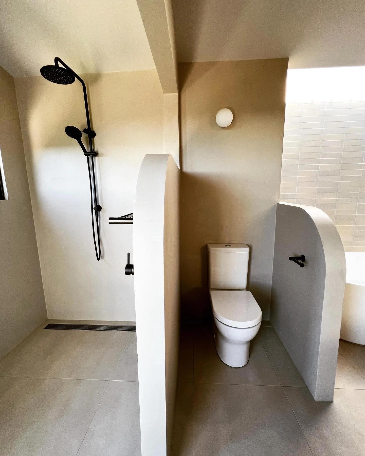Bathroom with a shower area and a toilet separated by a curved dividing wall.