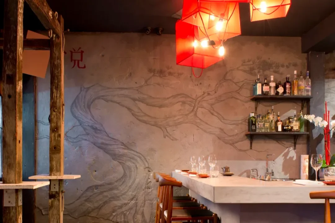 Venetian Plaster Sunshine Coast