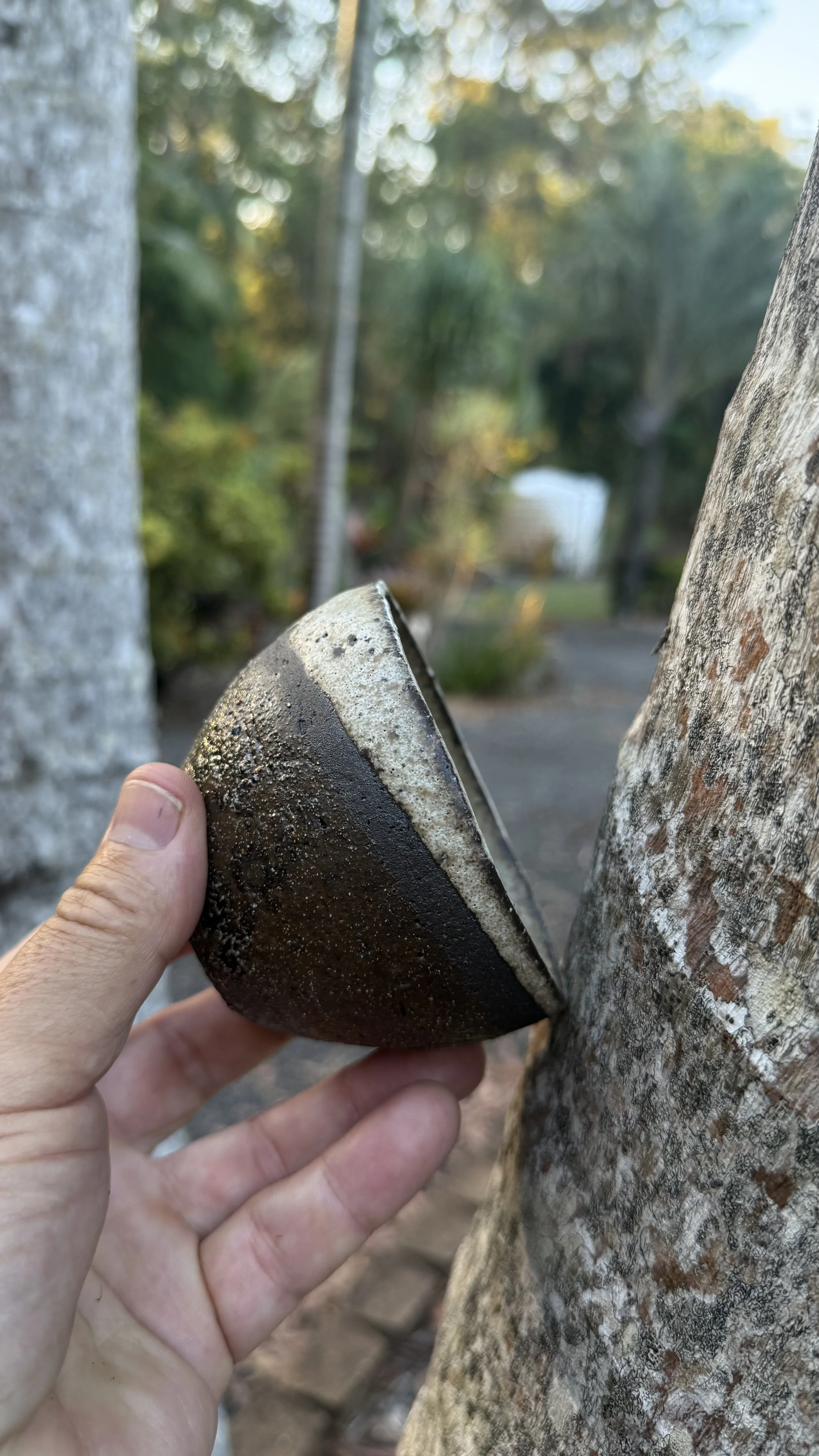 A hand holding a ceramic bowl against a blurred background of trees and outdoor scenery.