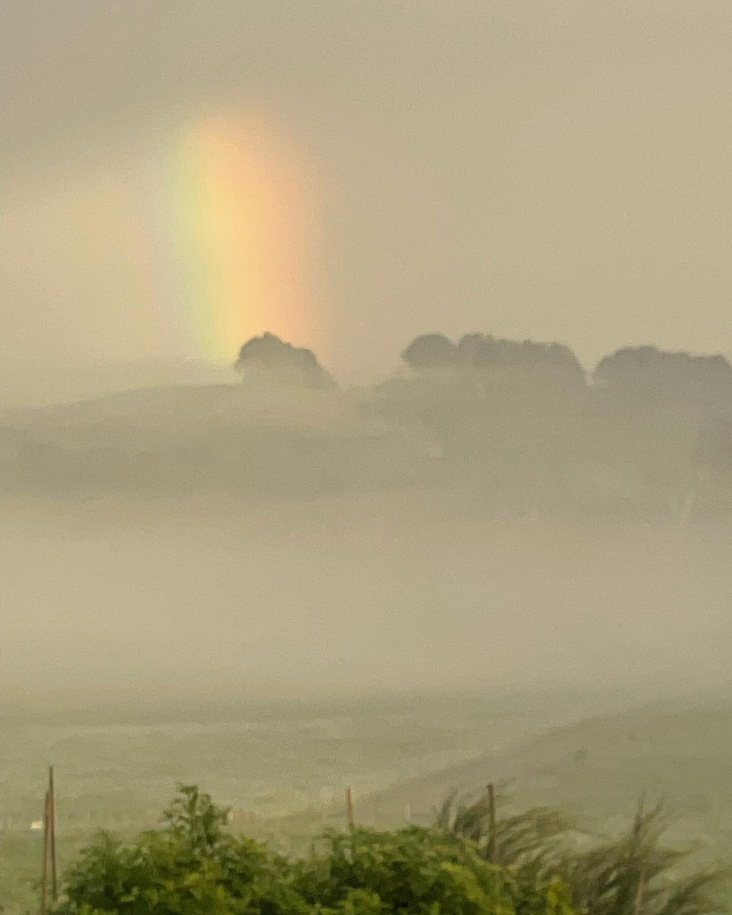 A stunning view this morning with a rainbow peaking through the fog.