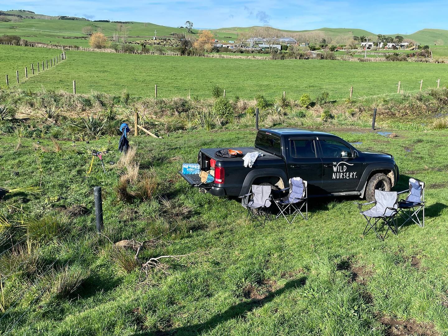 Over 4,000 native grasses, flaxes and trees planted by Wild Nursery around our Tuna drains. Awesome job. Super healthy trees. Big thanks to NZ Landcare Trust, Waikato River Authority, WCEET, Trees that Count for their support, and Wild Nursery for th