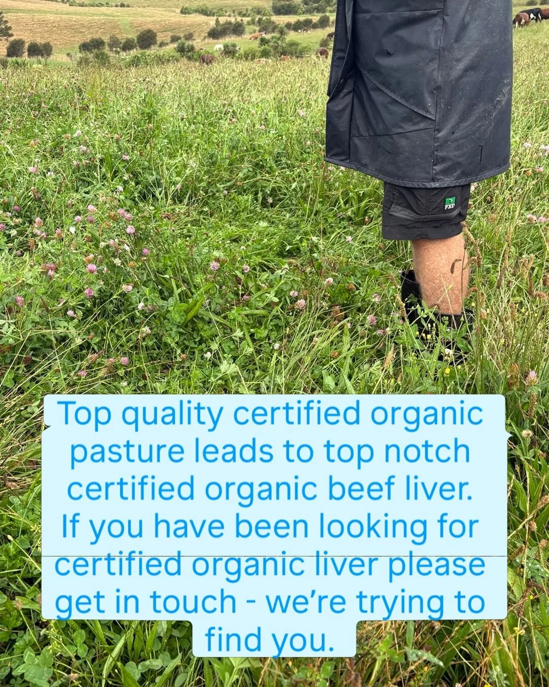 LOOKING FOR ORGANIC BEEF LIVER - Look no further than Black Pond Farm - we have some waiting for you.  Please send us a message, text or email if you&rsquo;re interested. 

Look forward to hearing from you. 

#organicbeef 
#organicbeefliver 
#organic