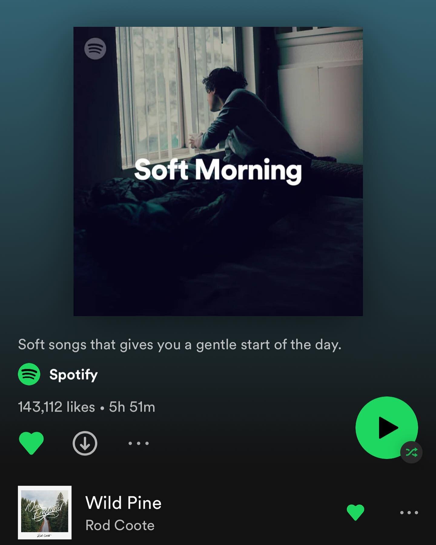 Thanks @spotifyaunz &amp; @spotify for adding my song &lsquo;Wild Pine&rsquo; to this beautiful editorial playlist this morning! ☕️ 🍃 

This song means the world to me &amp; so nice to see it&rsquo;s still connecting.