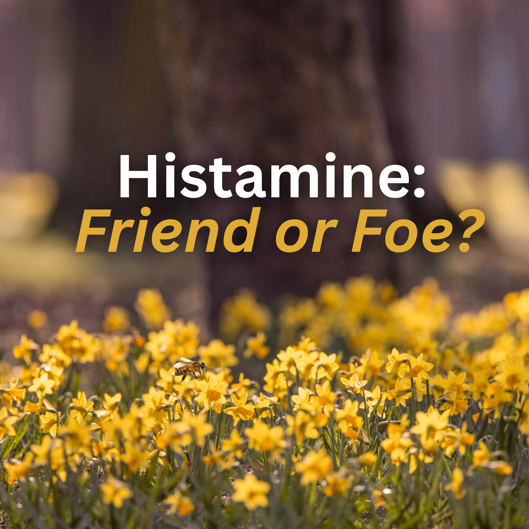 Histamine: Friend or Foe?